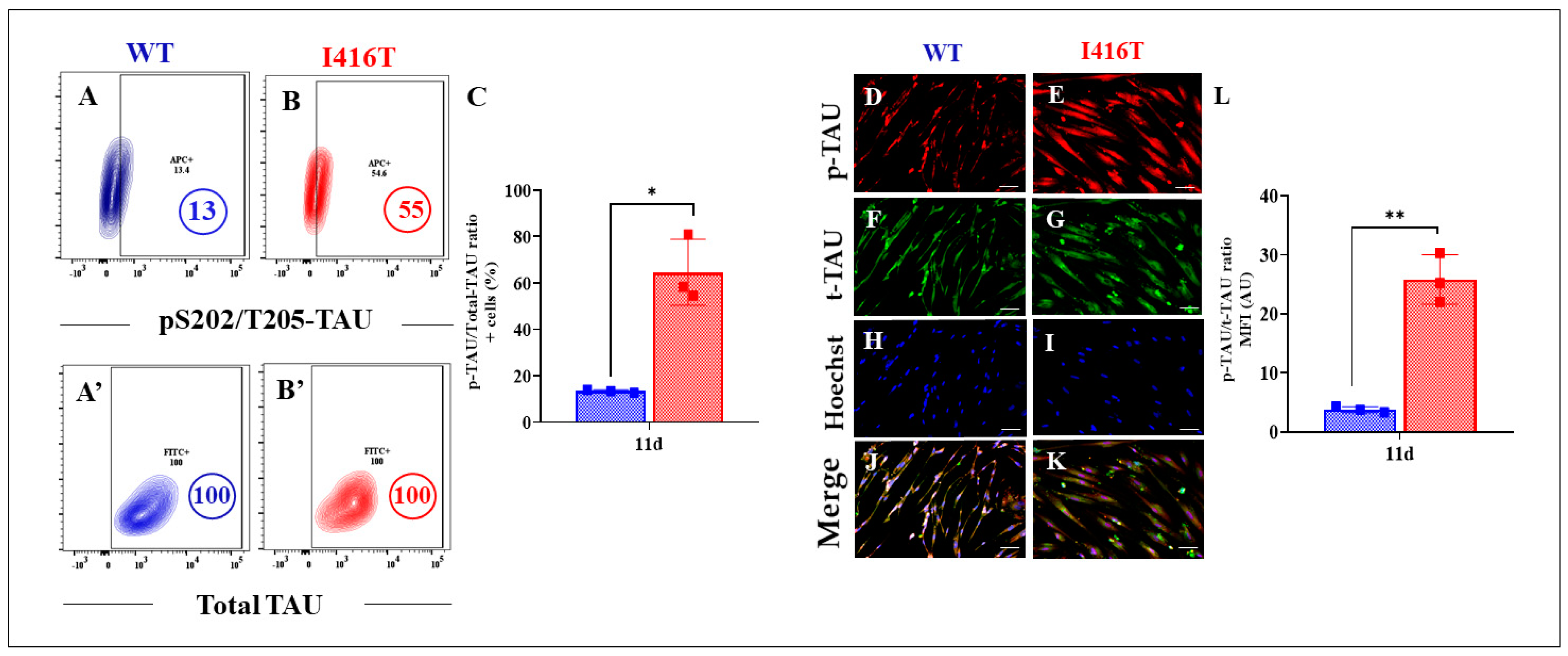 Molecules 30 02034 g003 Molecules 30 02034 g003