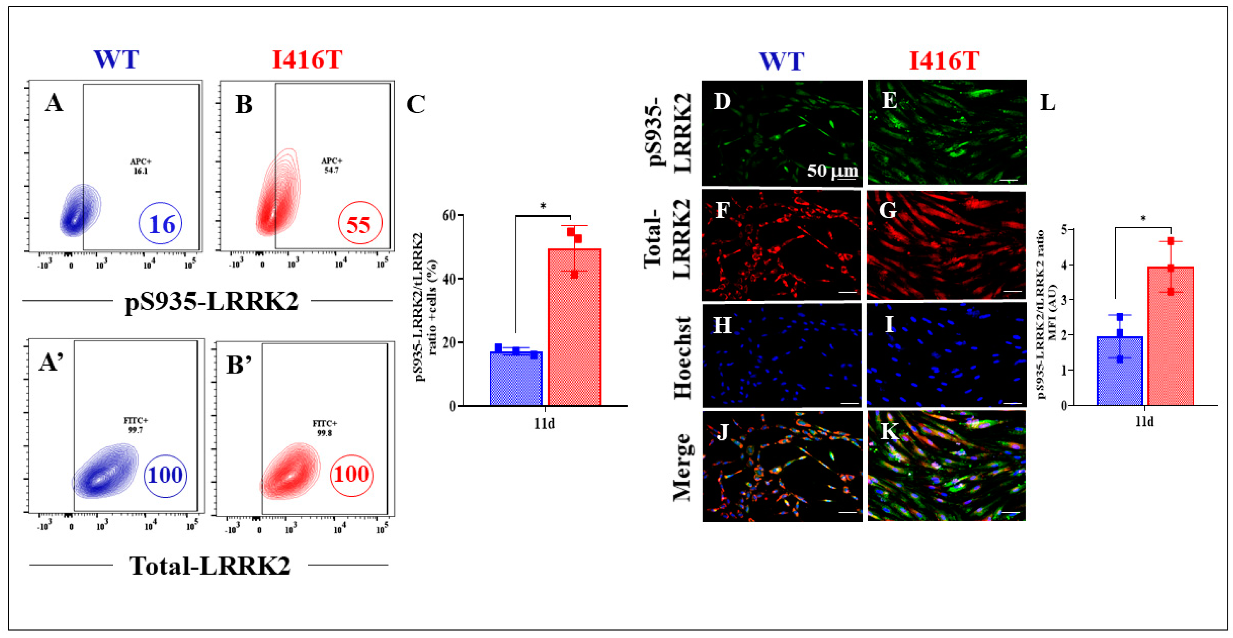 Molecules 30 02034 g004 Molecules 30 02034 g004