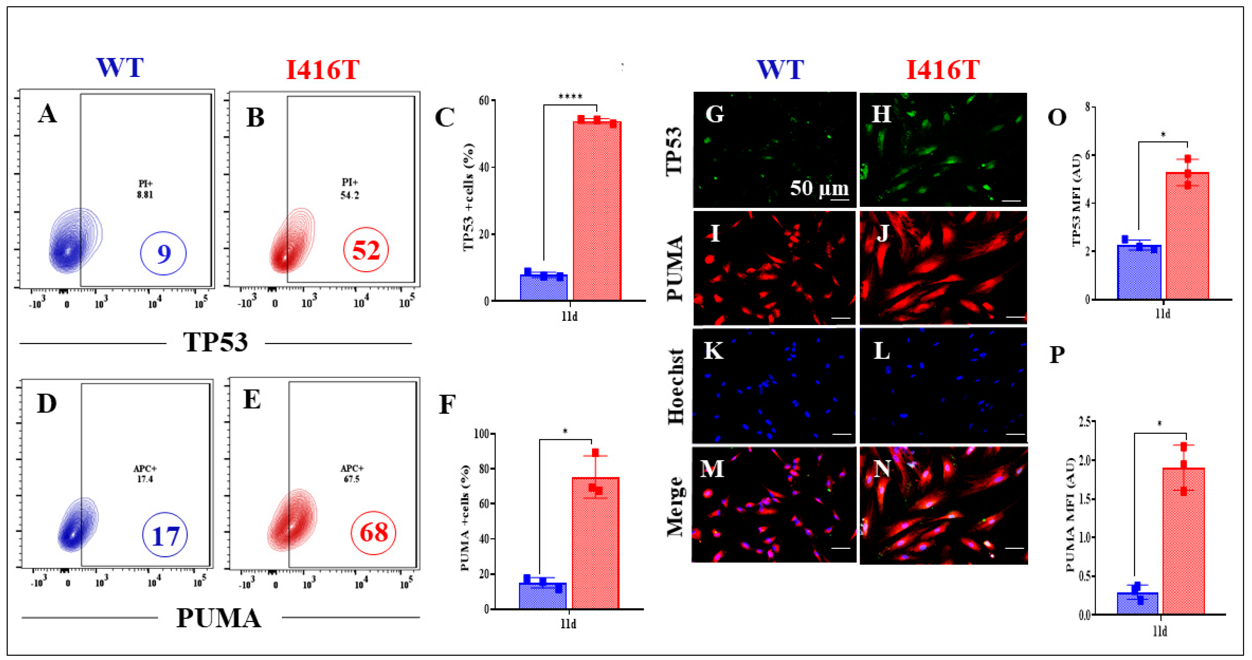 Molecules 30 02034 g006 Molecules 30 02034 g006