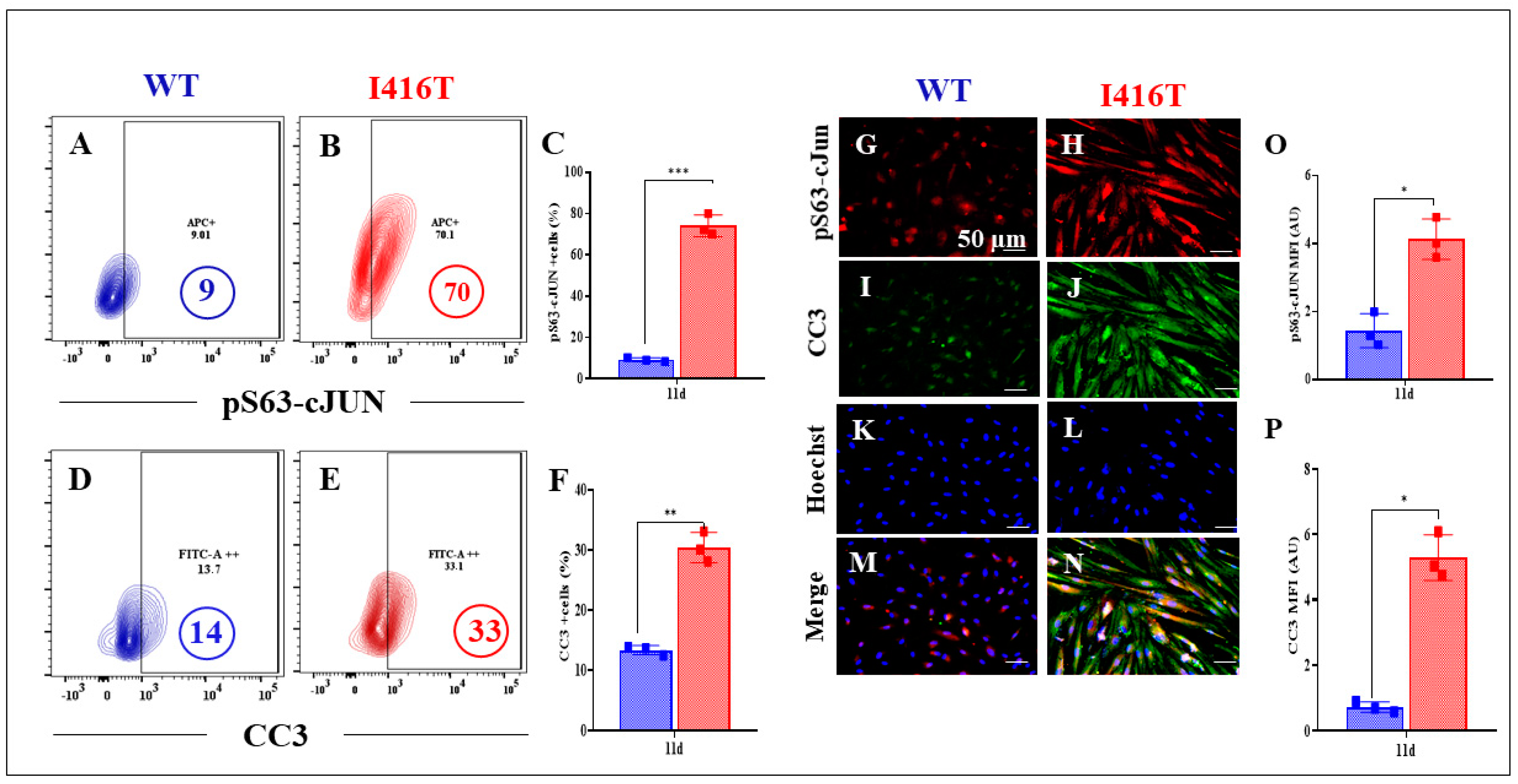 Molecules 30 02034 g007 Molecules 30 02034 g007