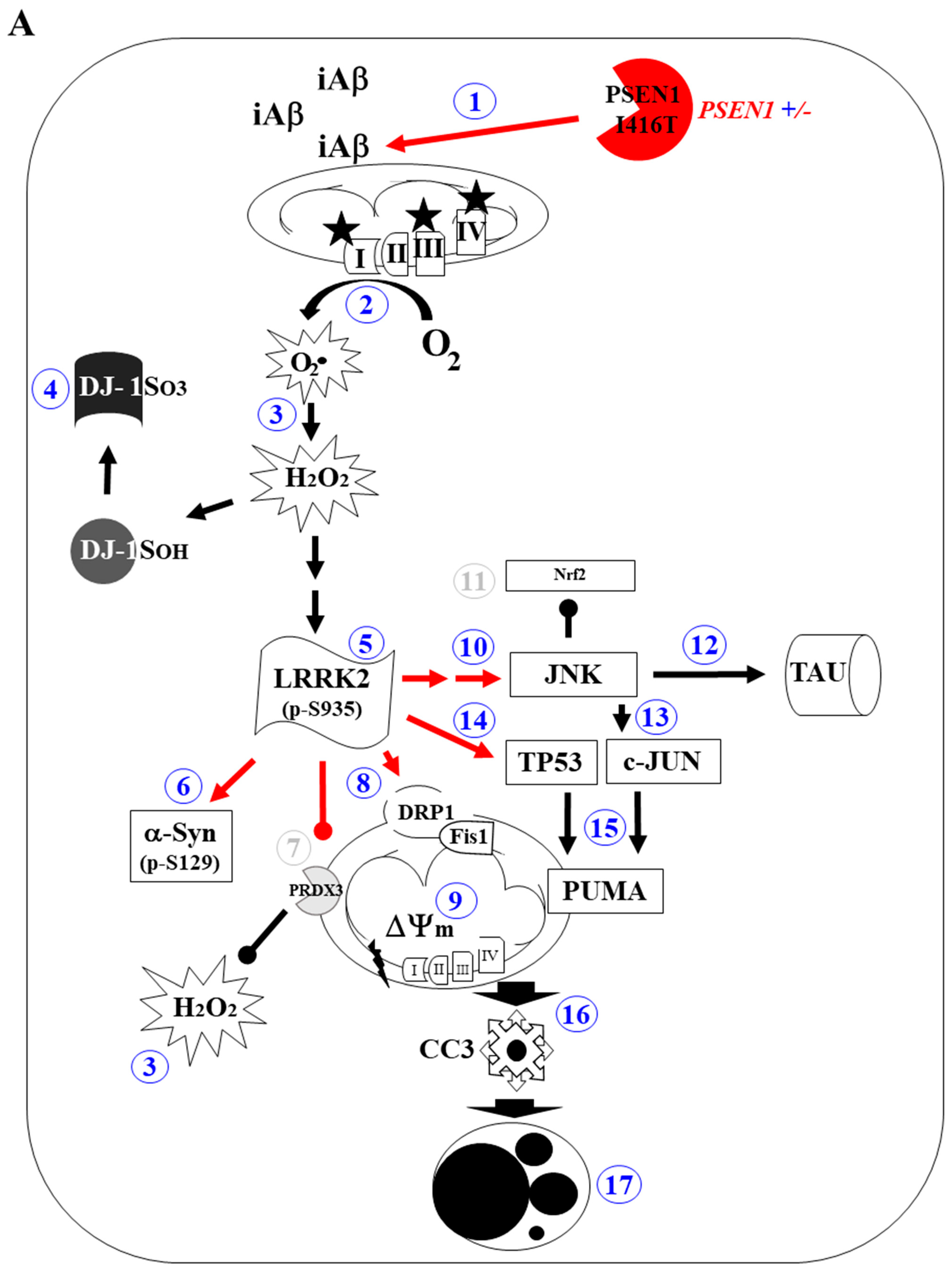 Molecules 30 02034 g014a Molecules 30 02034 g014a