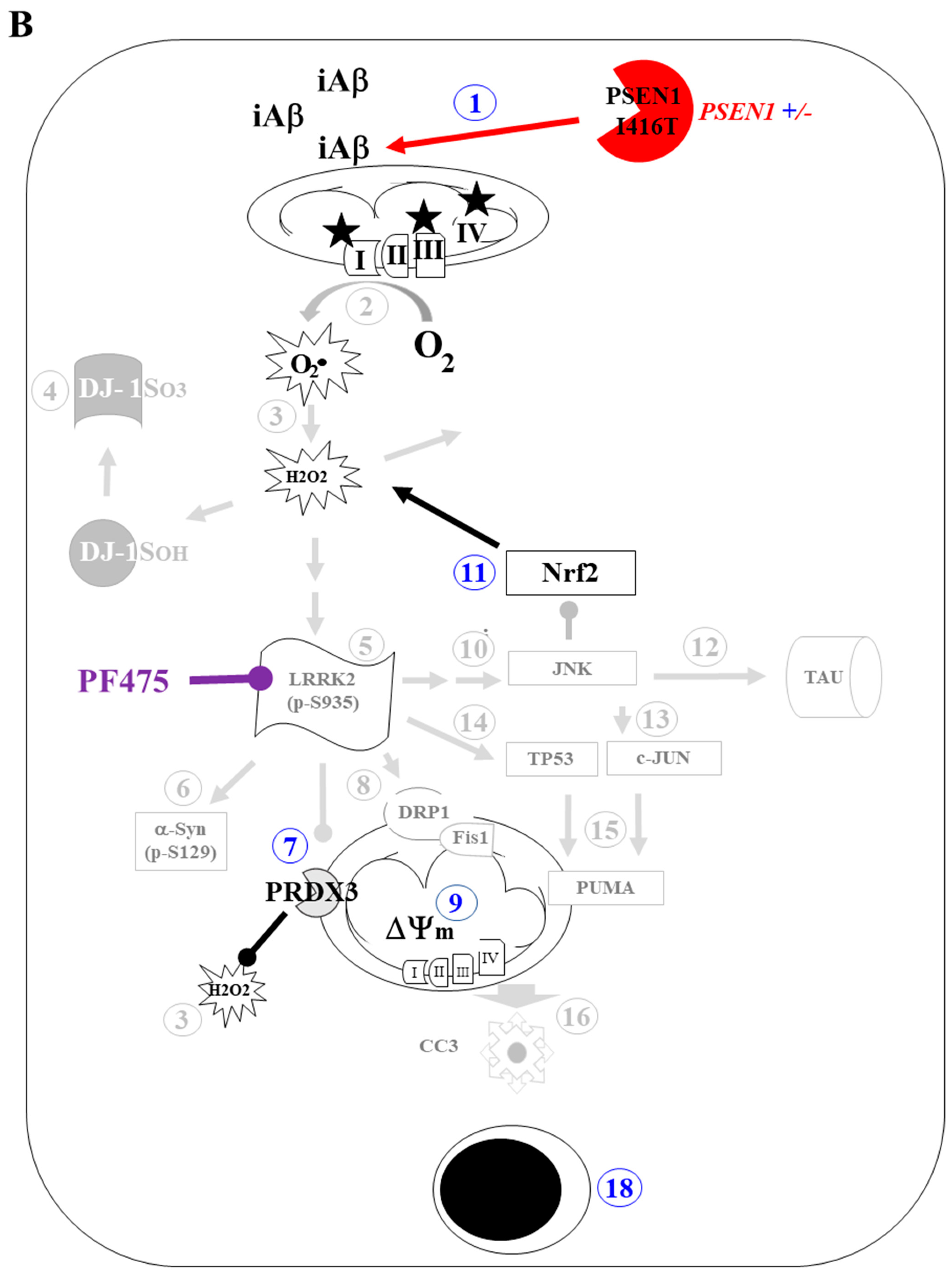 Molecules 30 02034 g014b Molecules 30 02034 g014b
