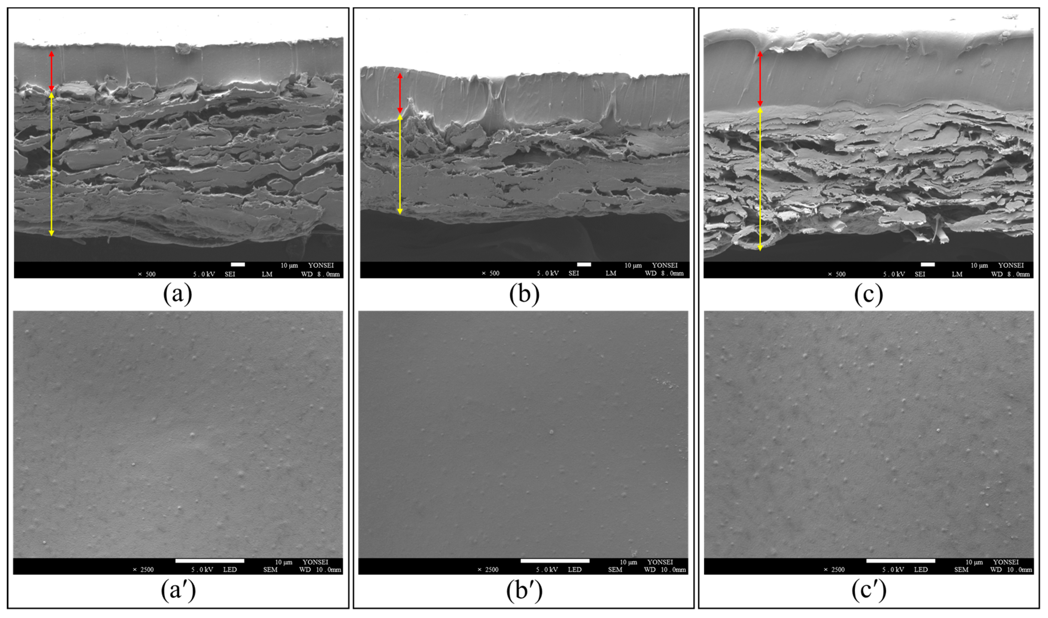 Molecules 30 02041 g002