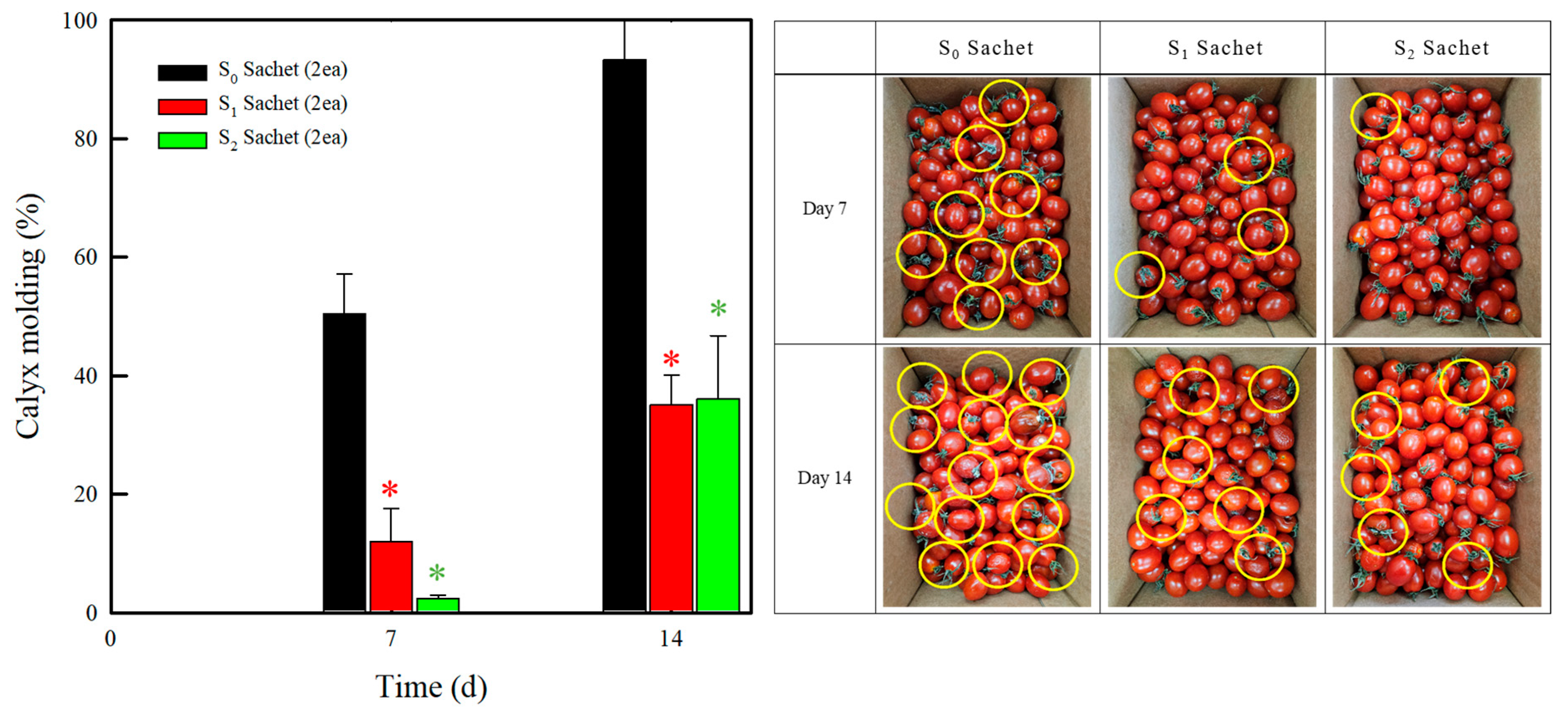 Molecules 30 02041 g006