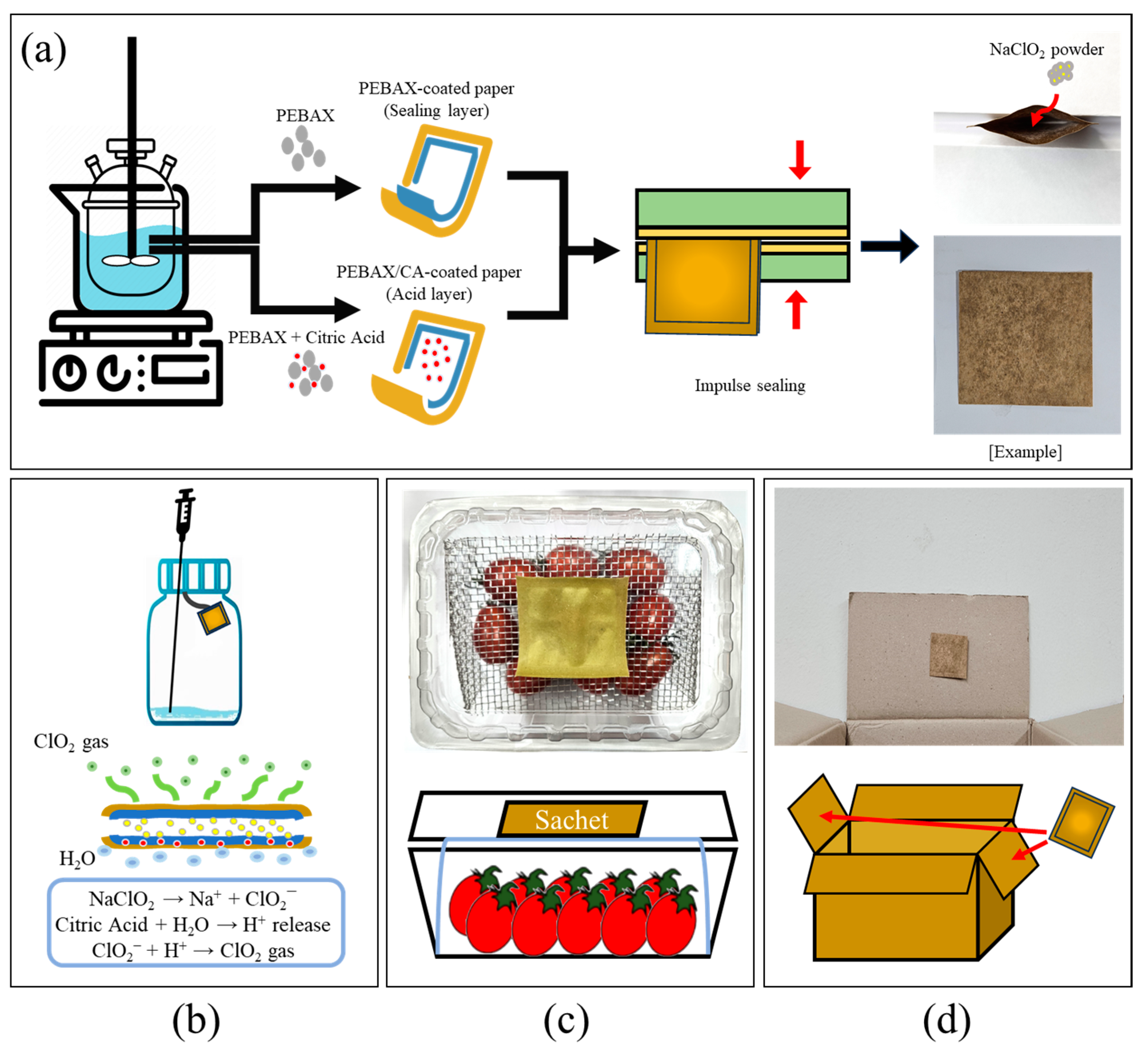 Molecules 30 02041 g007