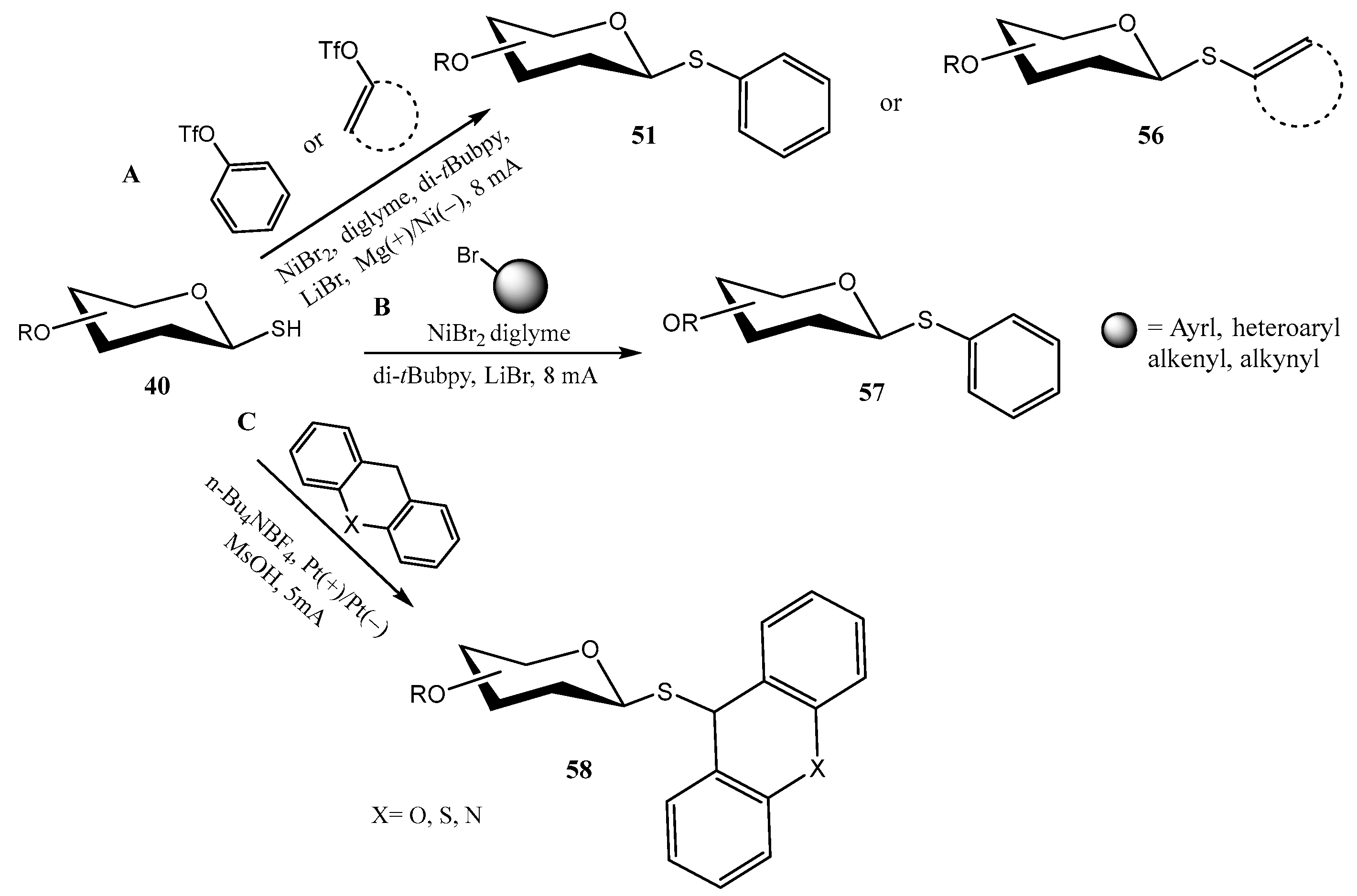 Molecules 30 02053 sch014