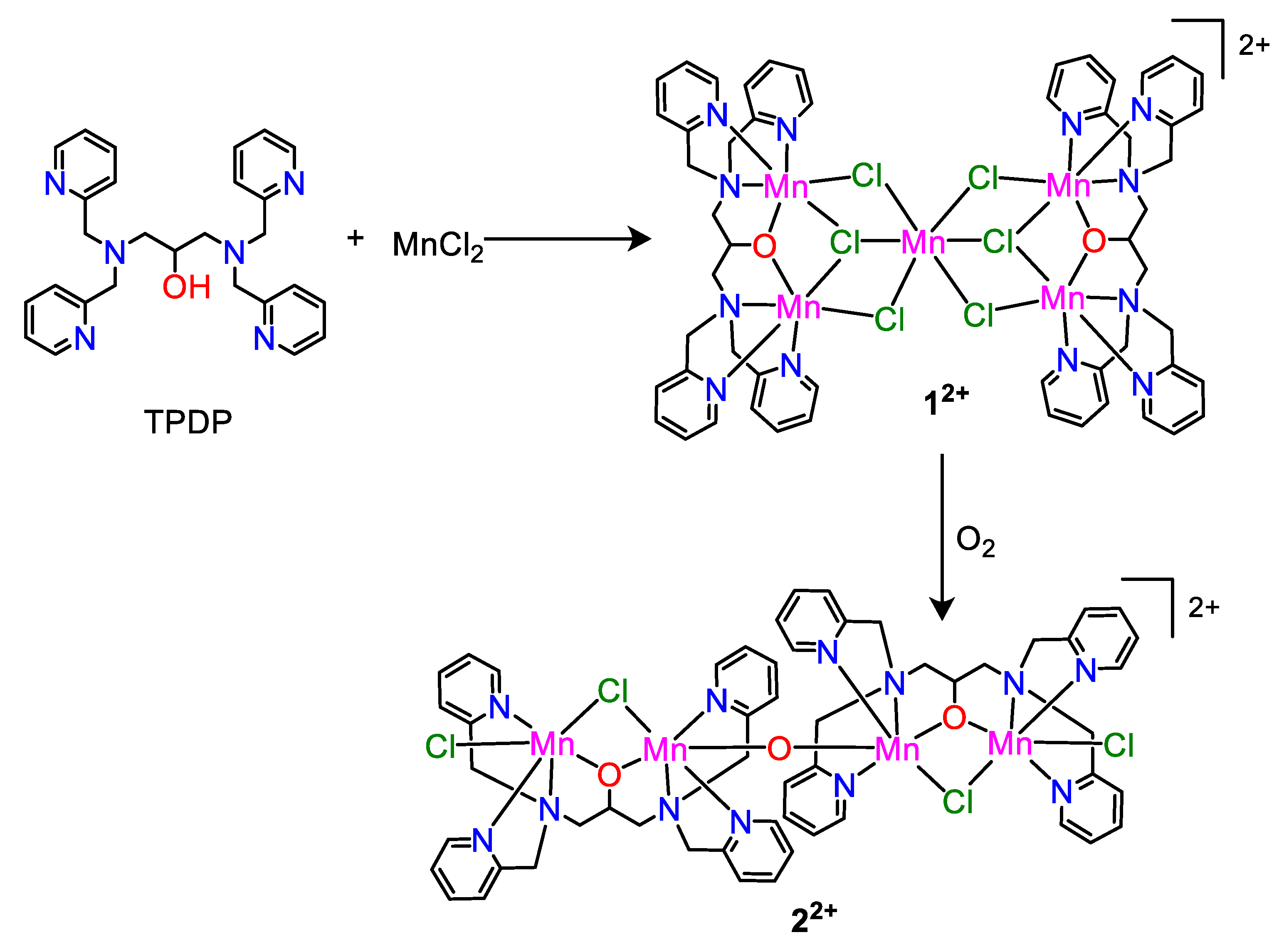 Molecules 30 02054 sch001
