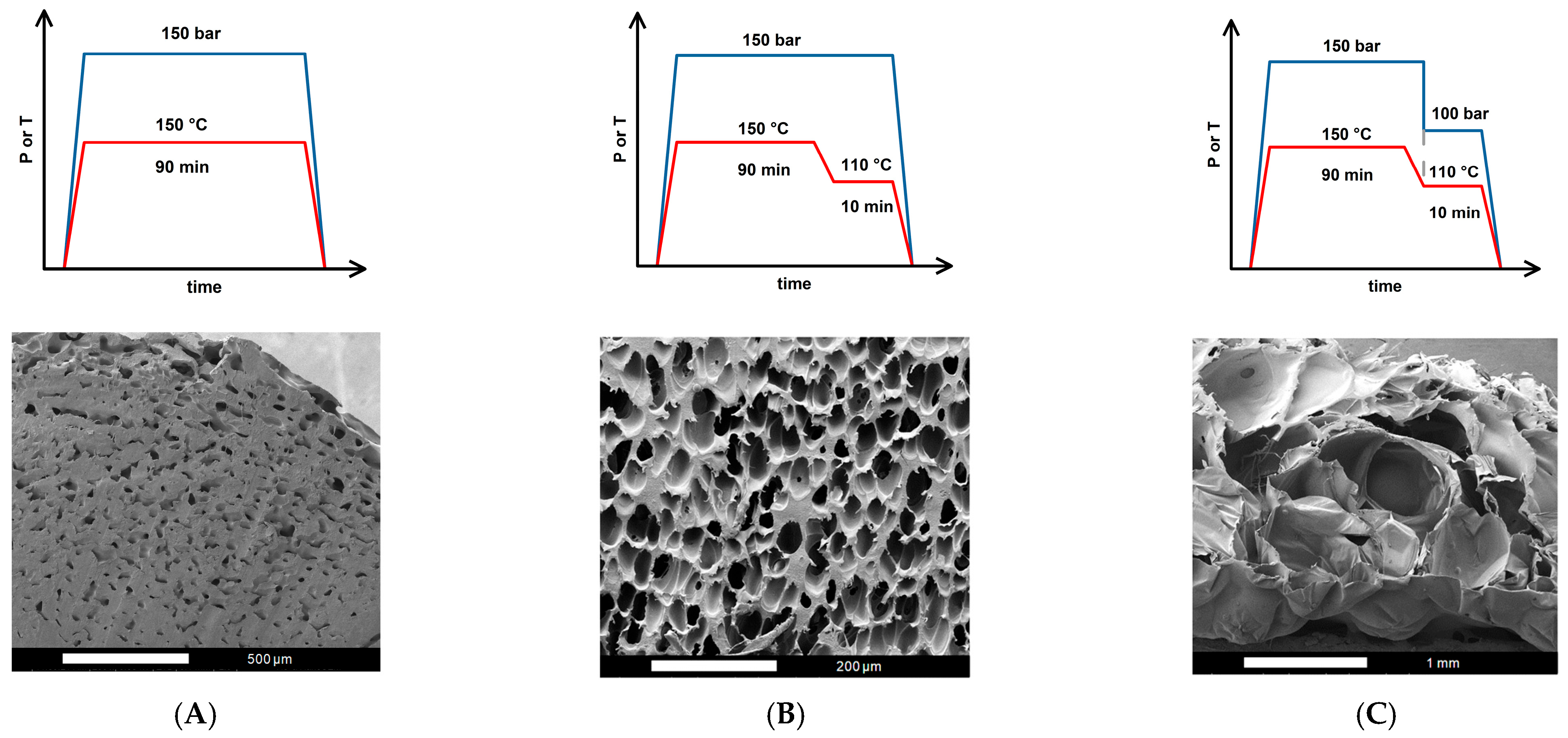 Molecules 30 02056 g001