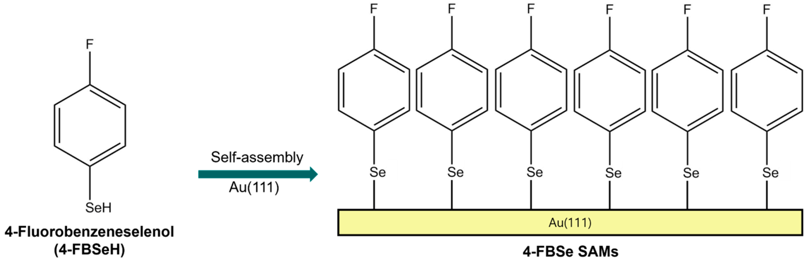 Molecules 30 02057 g001
