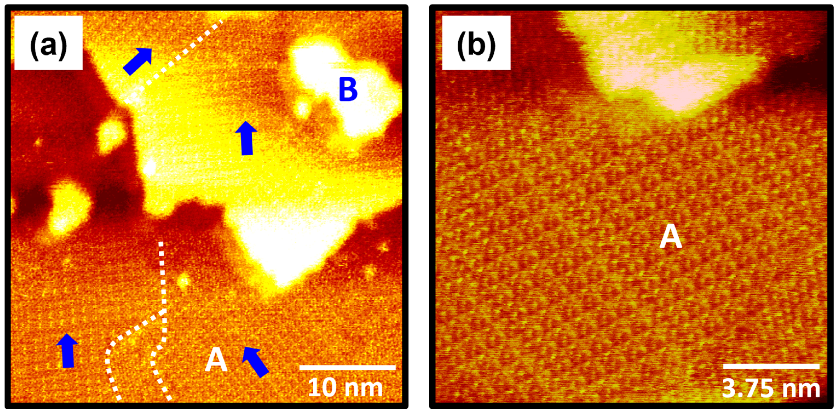 Molecules 30 02057 g003