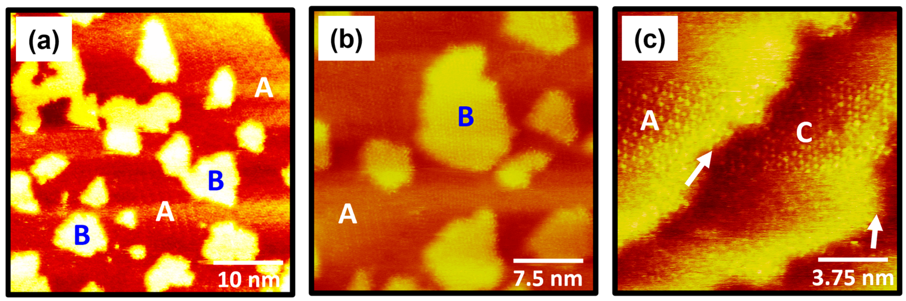 Molecules 30 02057 g004