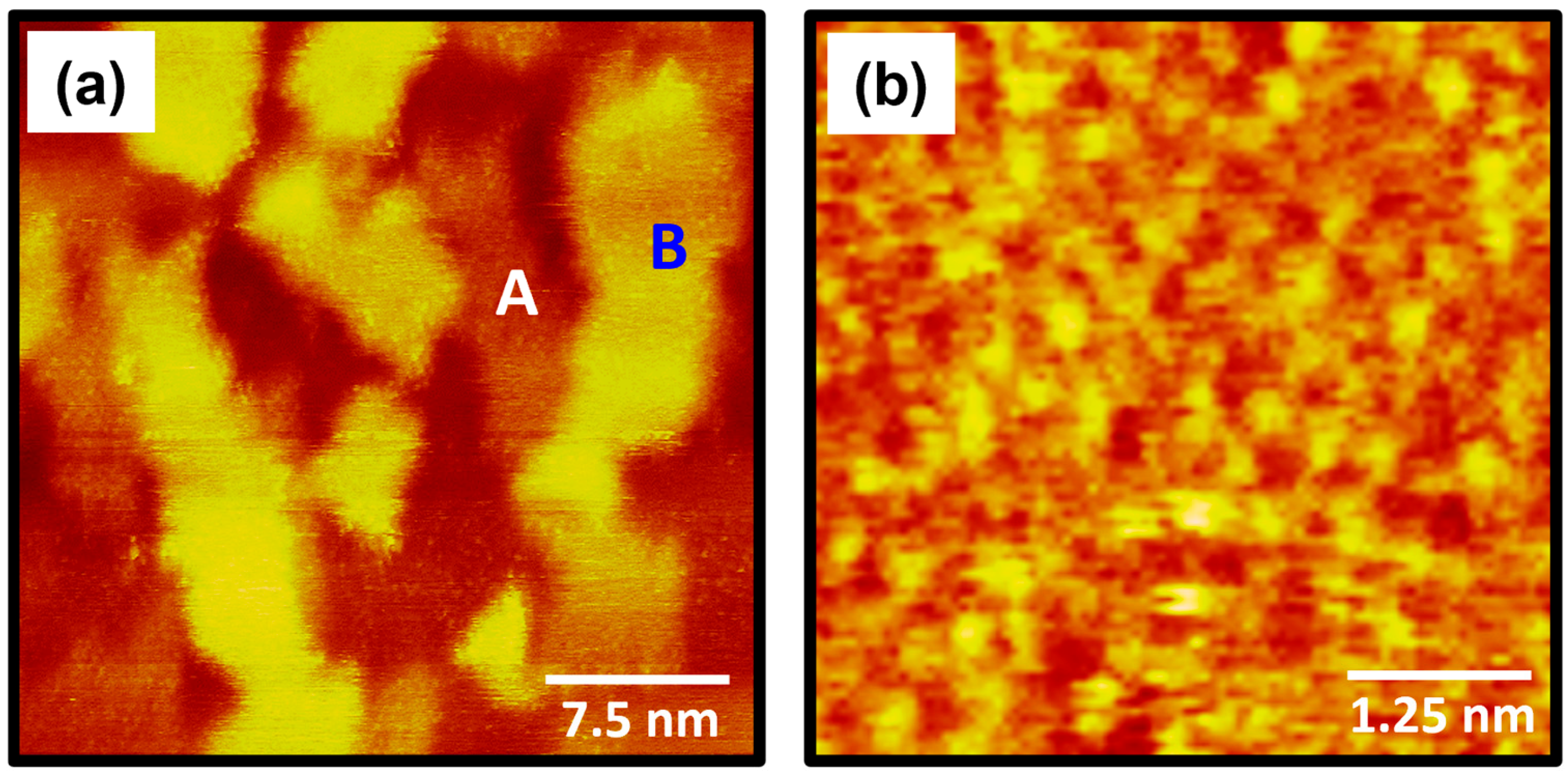 Molecules 30 02057 g005