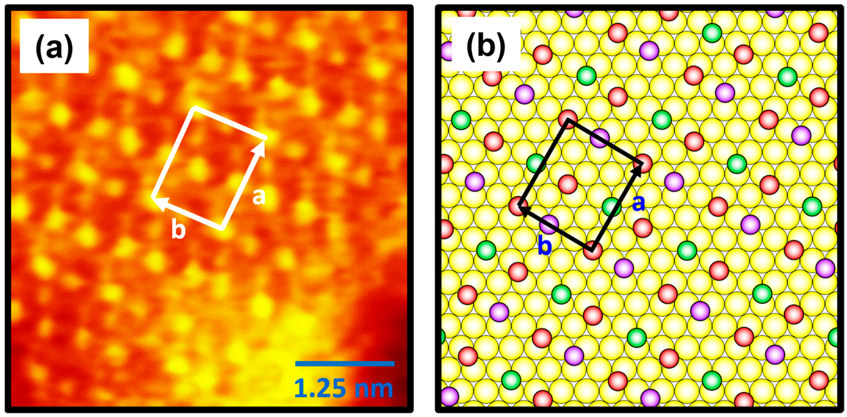 Molecules 30 02057 g006