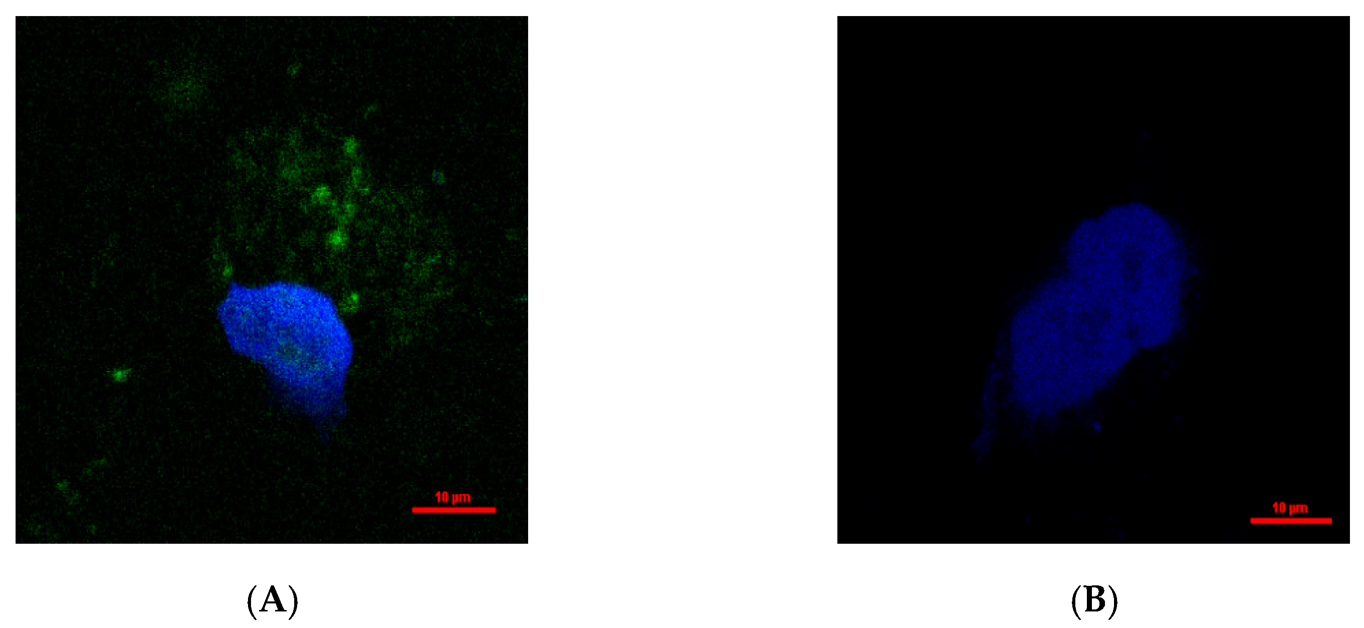 Molecules 30 02063 g007