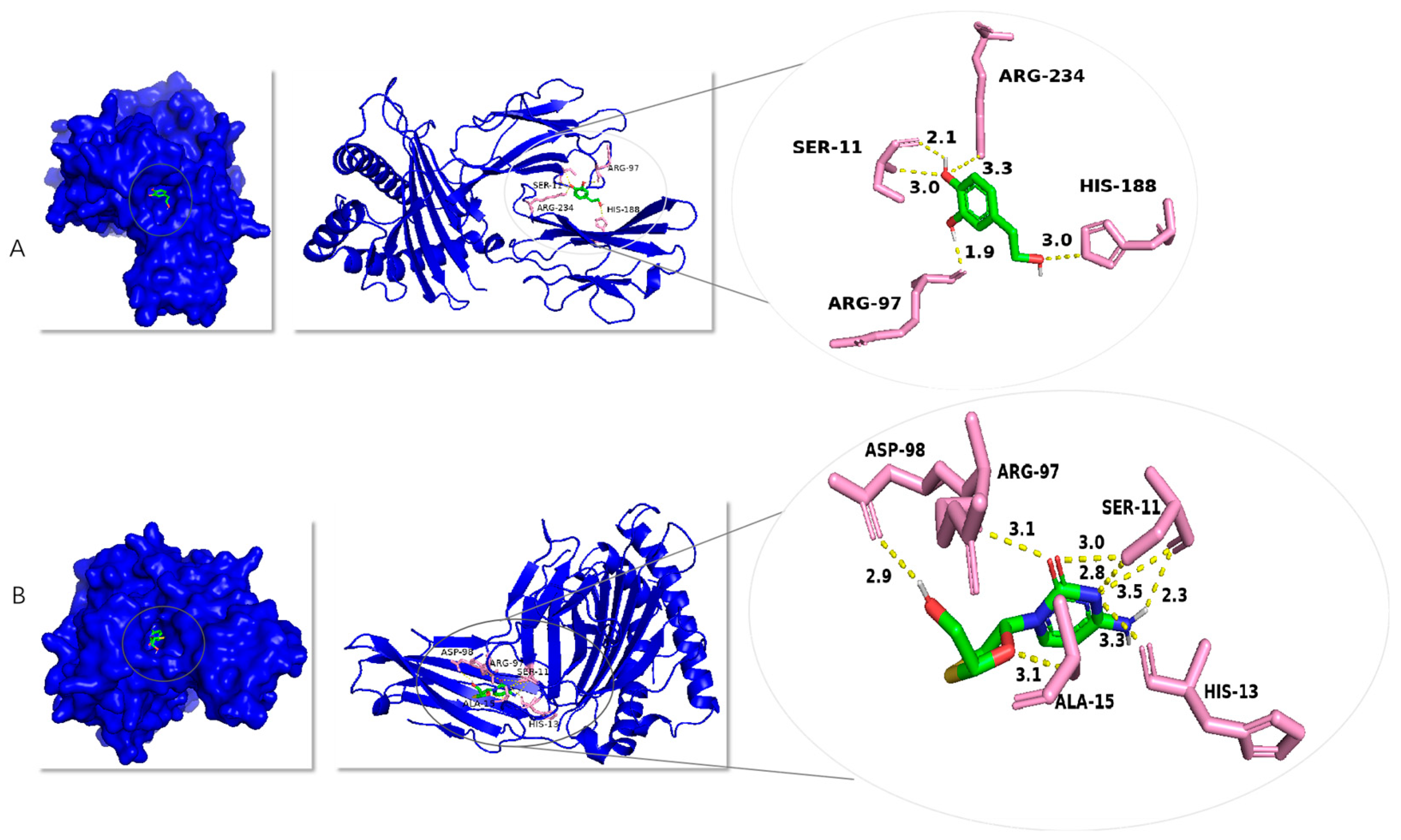 Molecules 30 02063 g008