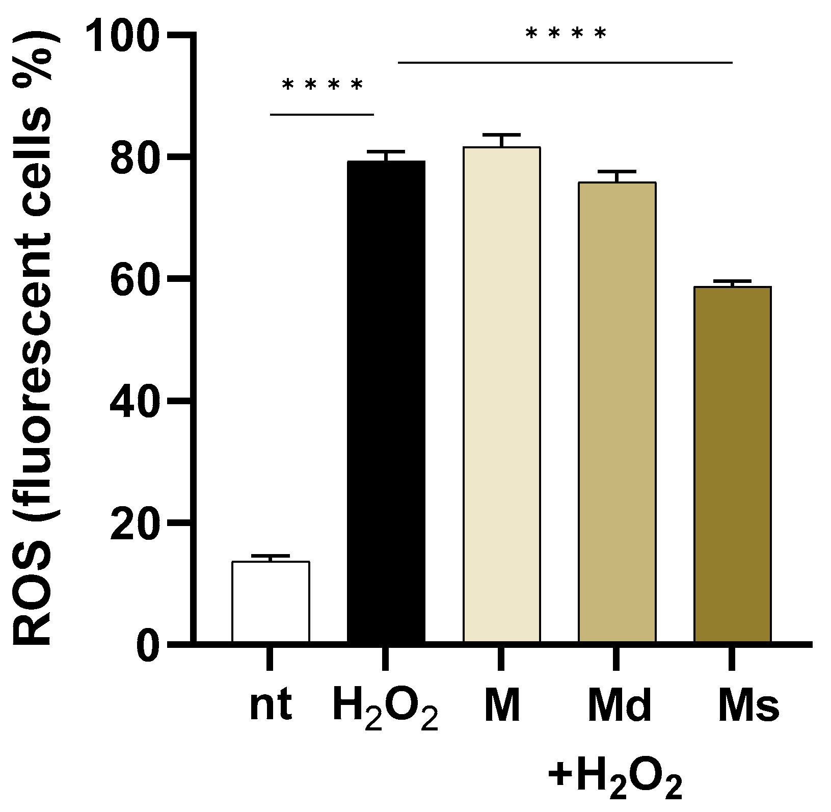 Molecules 30 02073 g003
