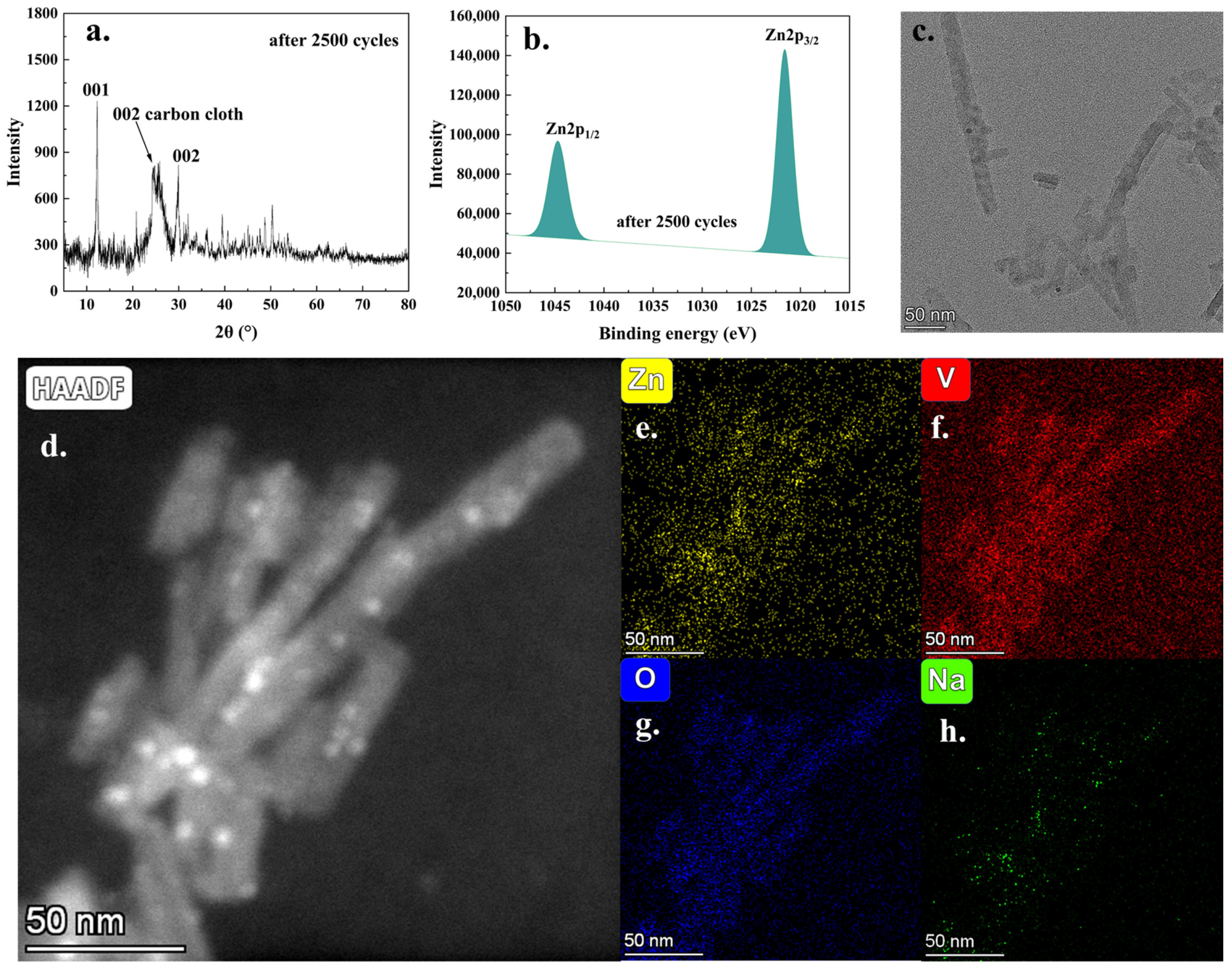 Molecules 30 02074 g008