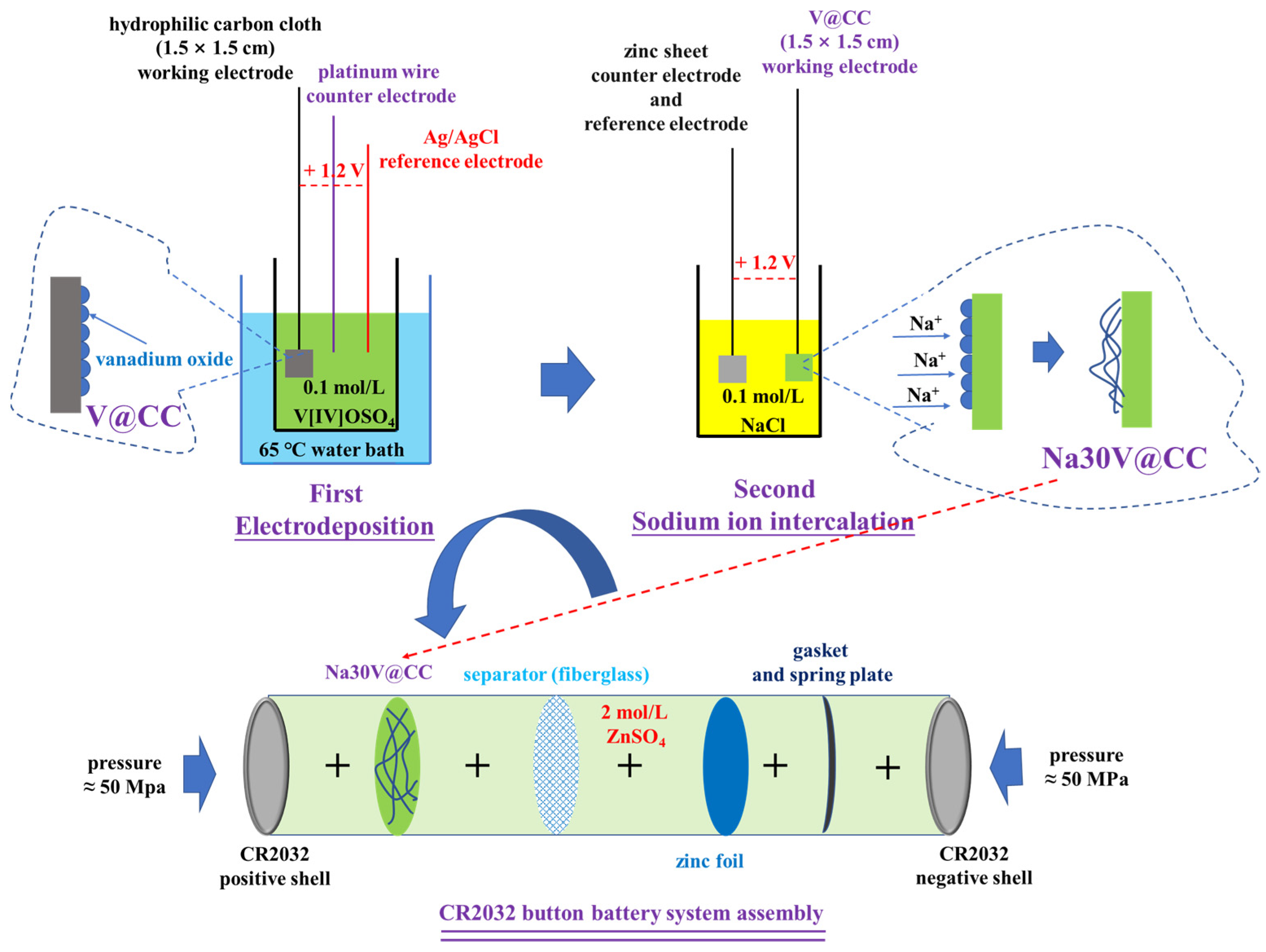Molecules 30 02074 g009