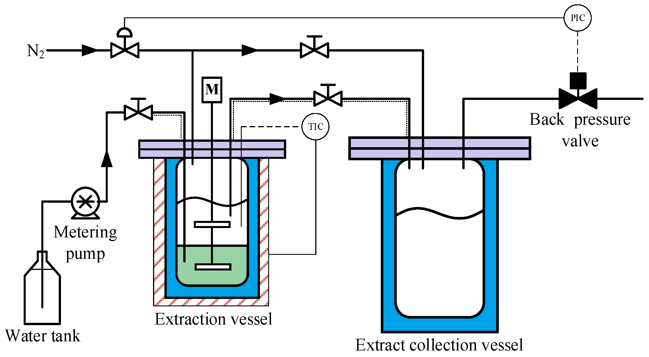 Molecules 30 02079 g001