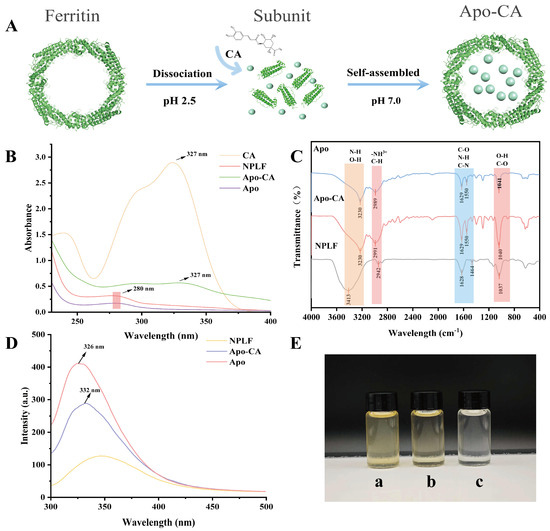 Advances in Lead-Free Perovskite Single Crystals