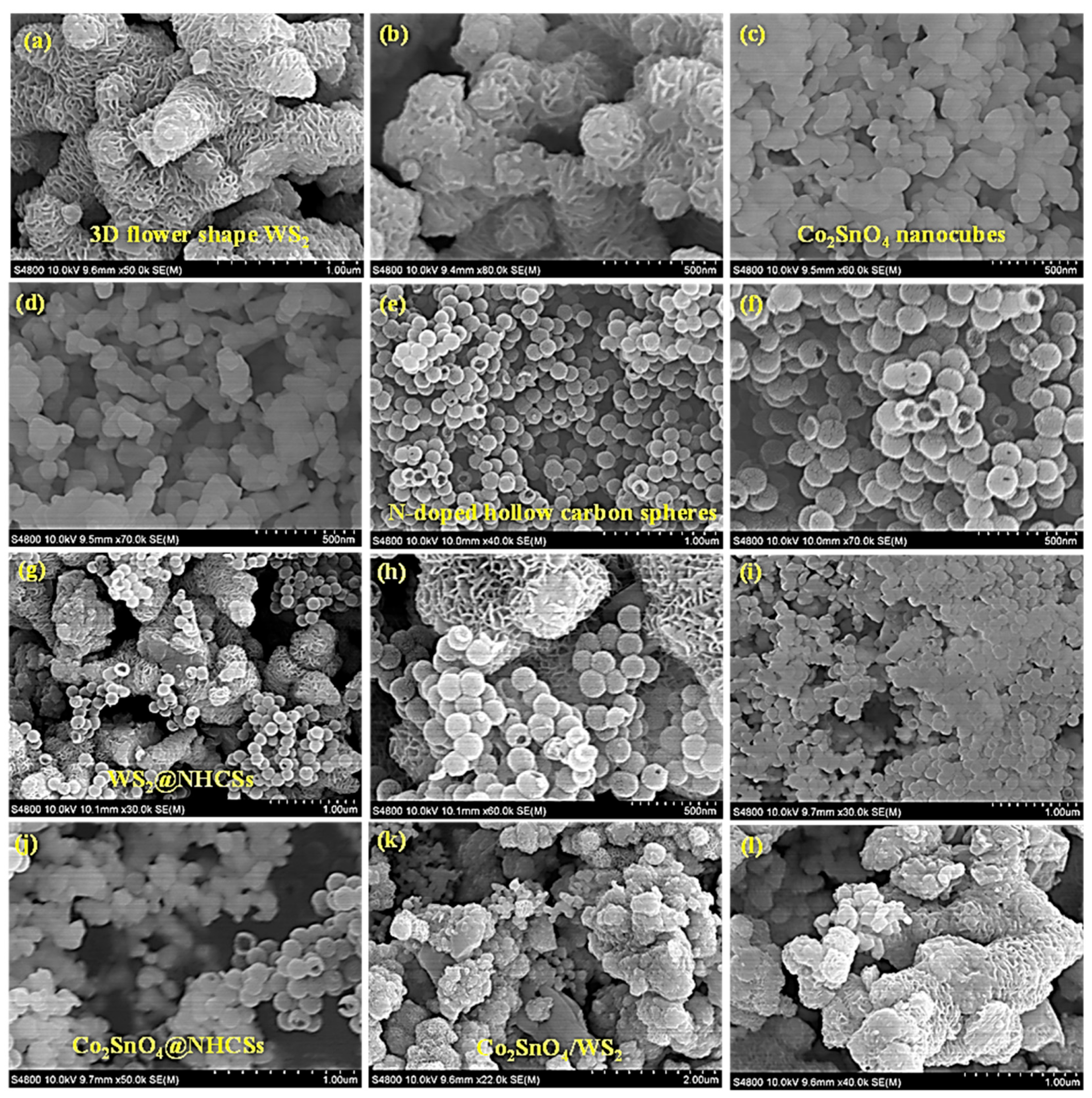 Molecules 30 02081 g002