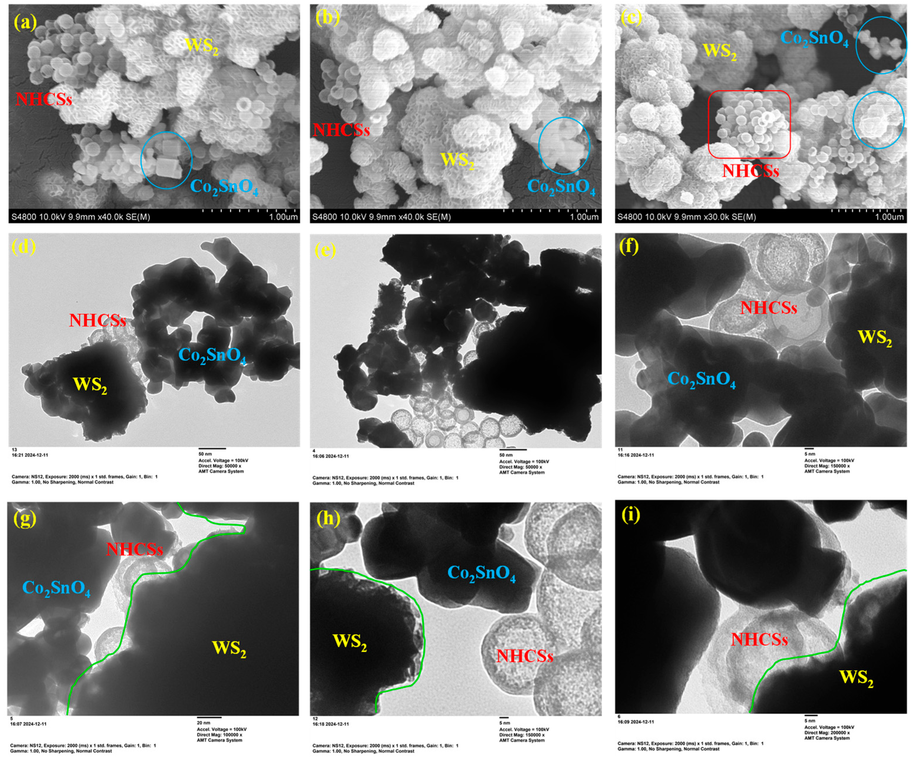 Molecules 30 02081 g003