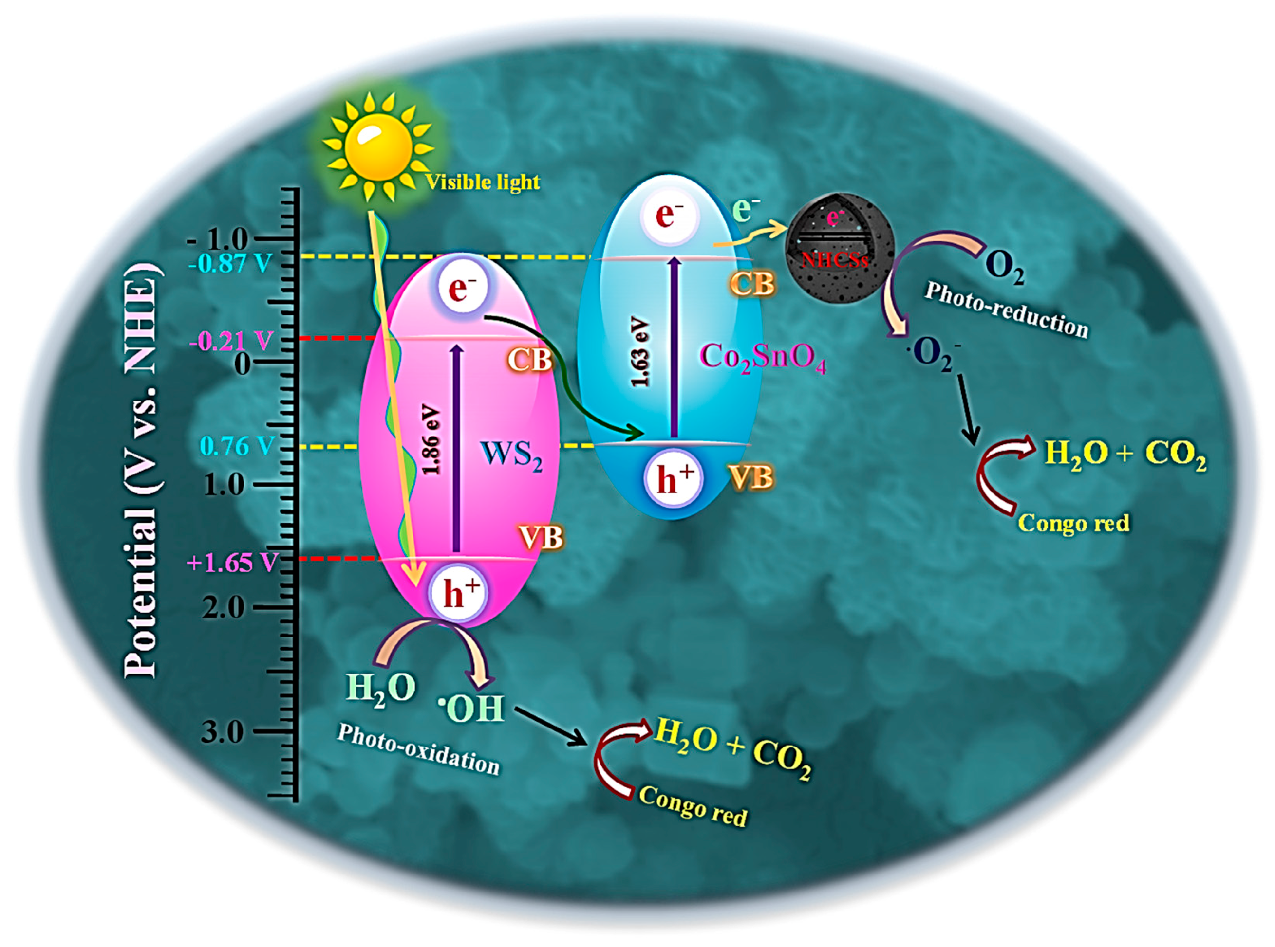 Molecules 30 02081 sch001