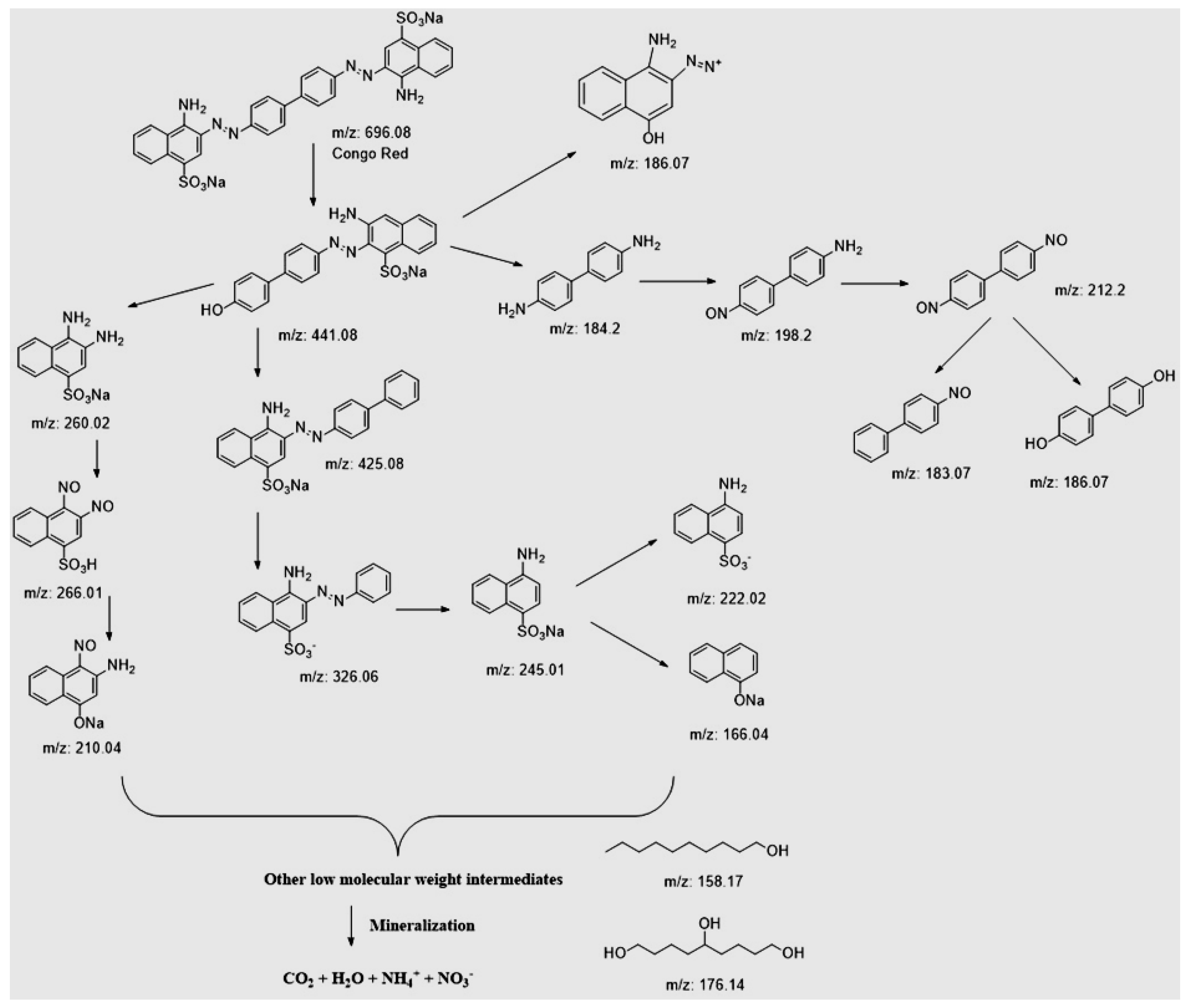 Molecules 30 02081 sch002