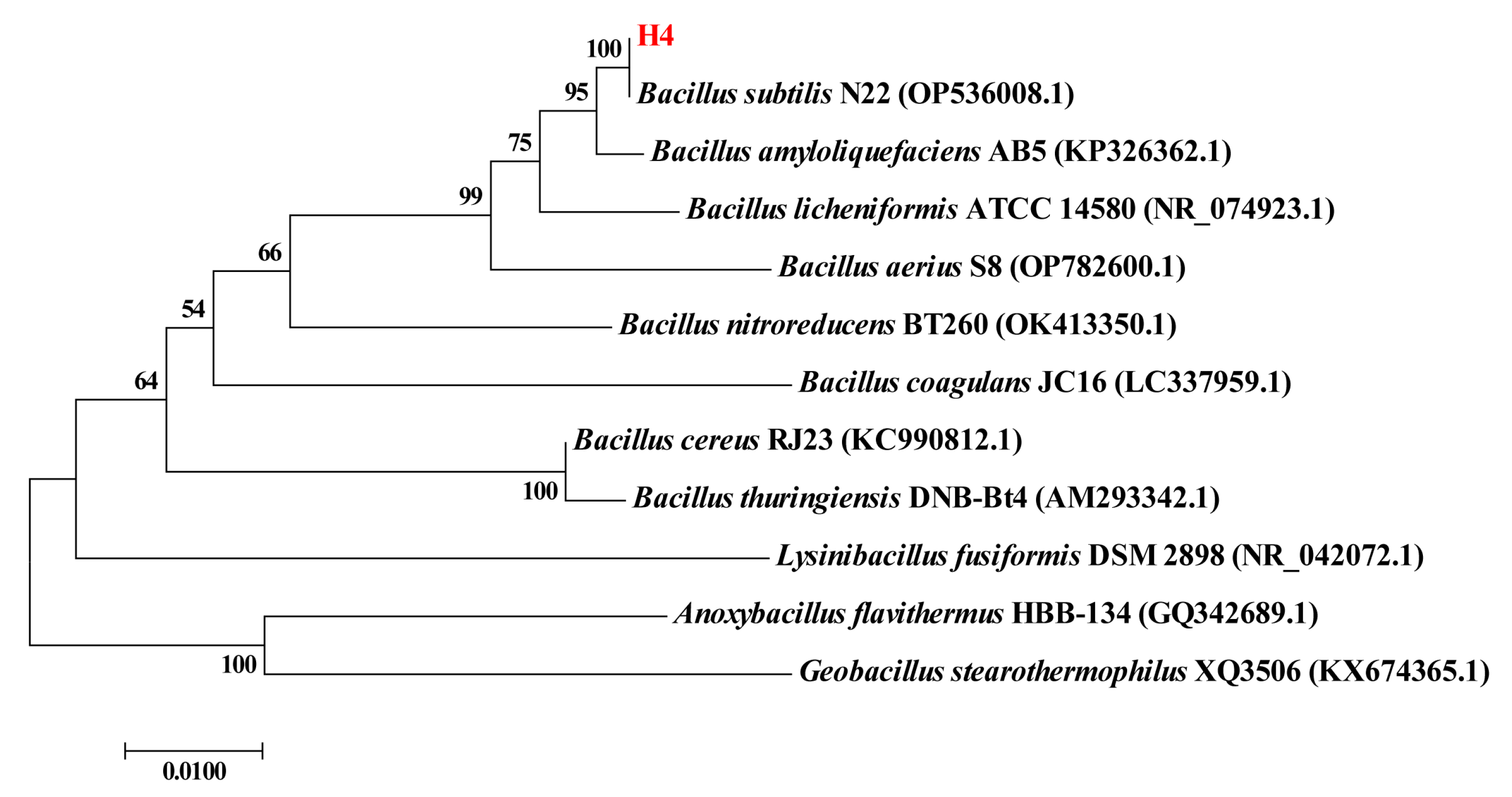 Molecules 30 02089 g001