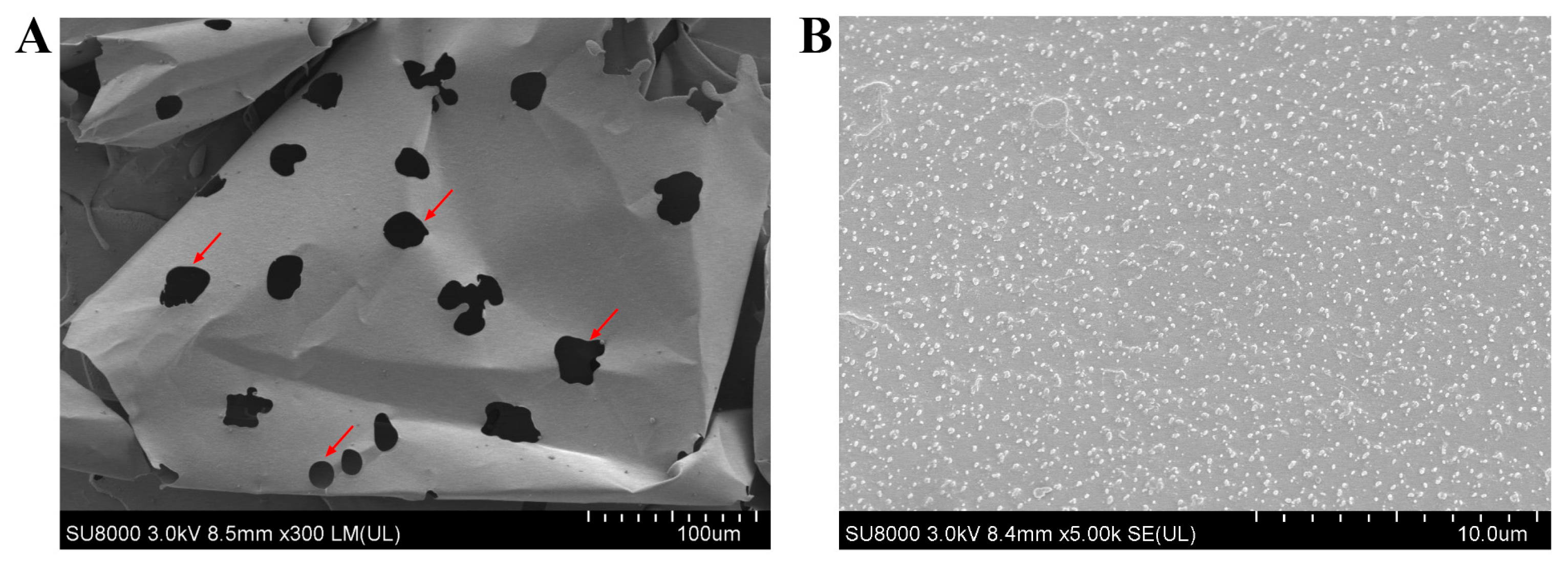 Molecules 30 02089 g007