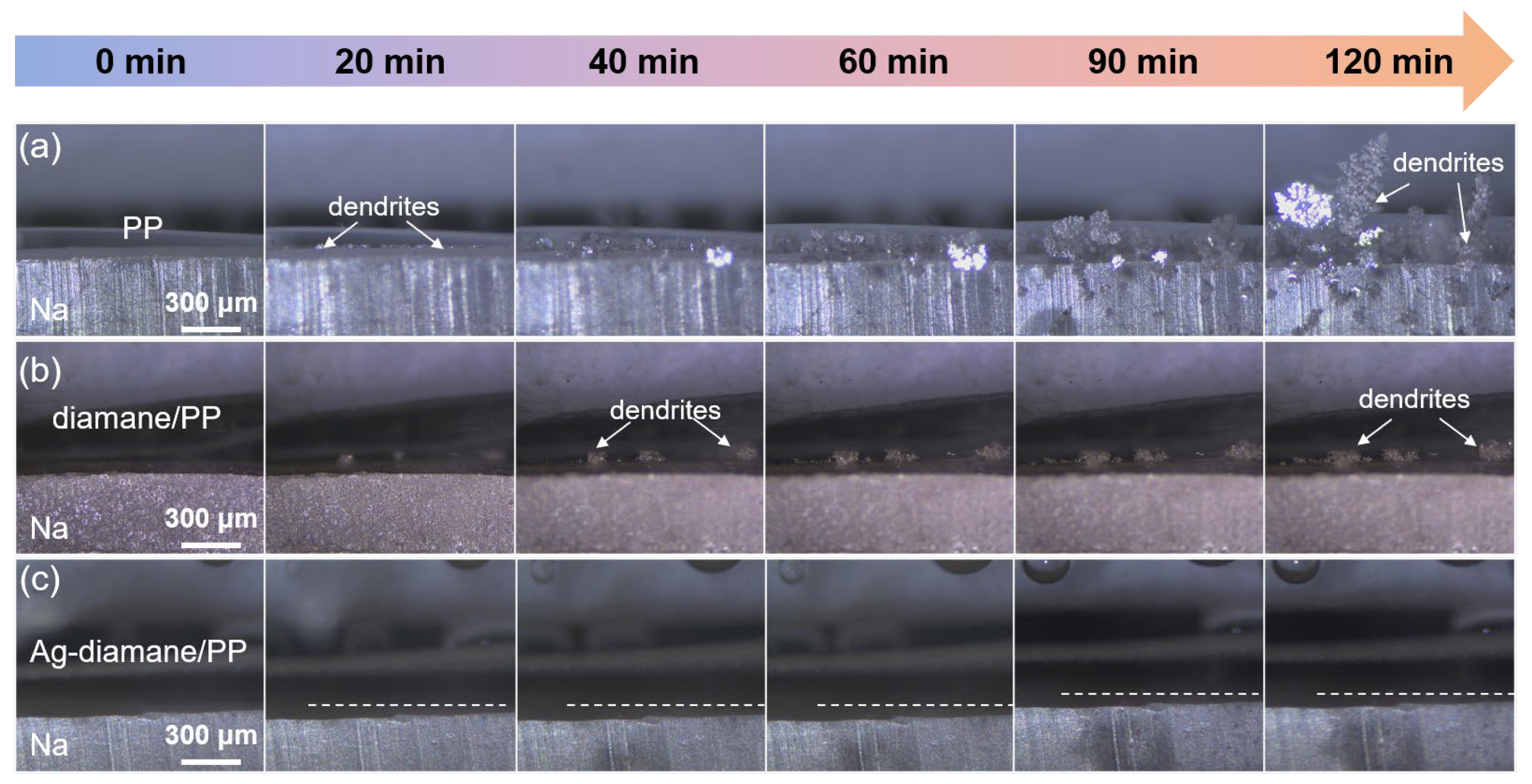 Molecules 30 02092 g004