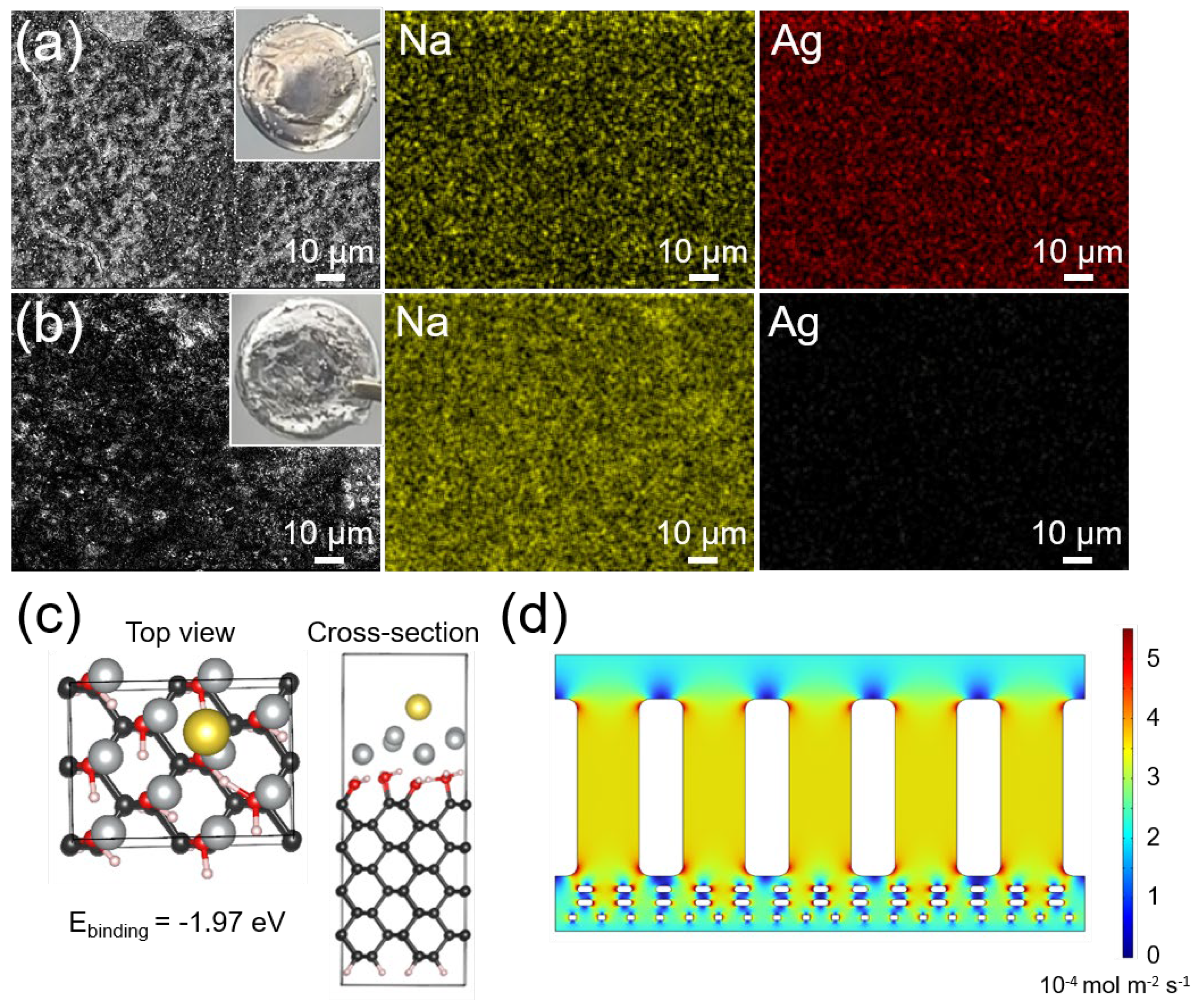 Molecules 30 02092 g005