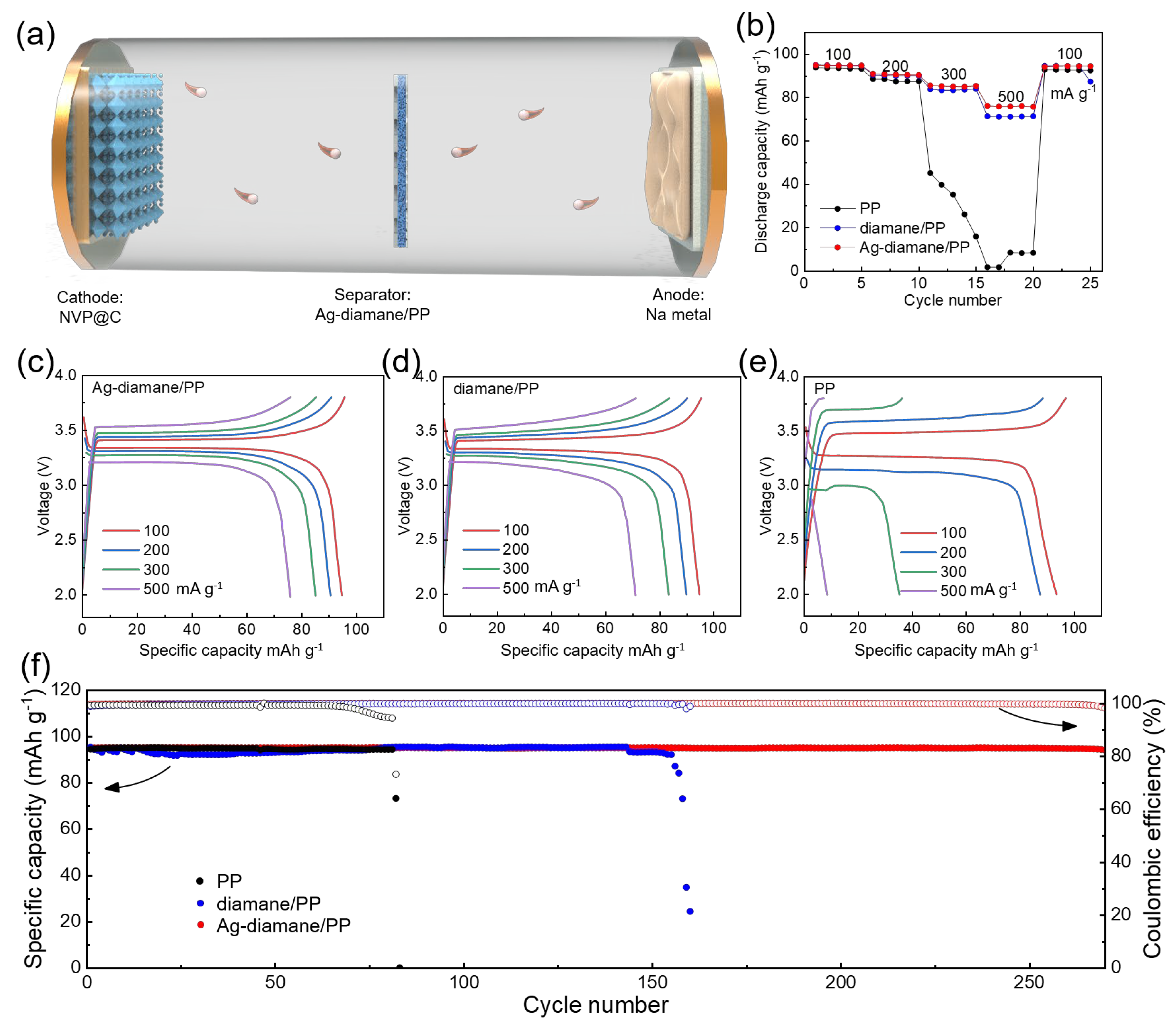 Molecules 30 02092 g006
