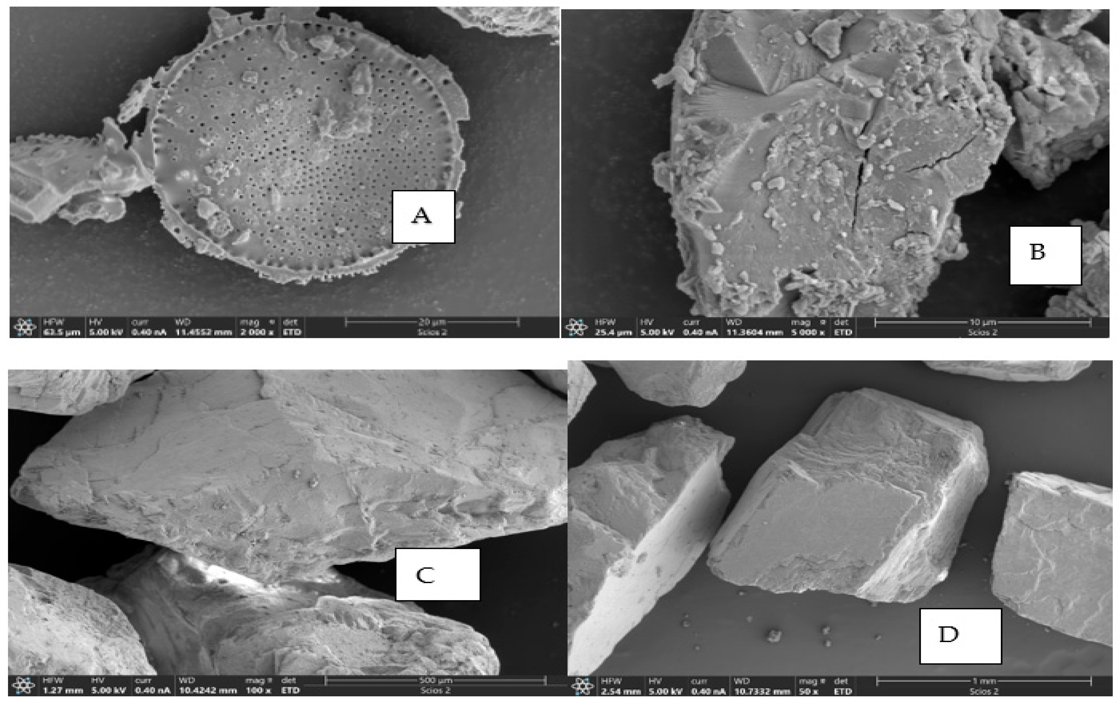 Molecules 30 02094 g007