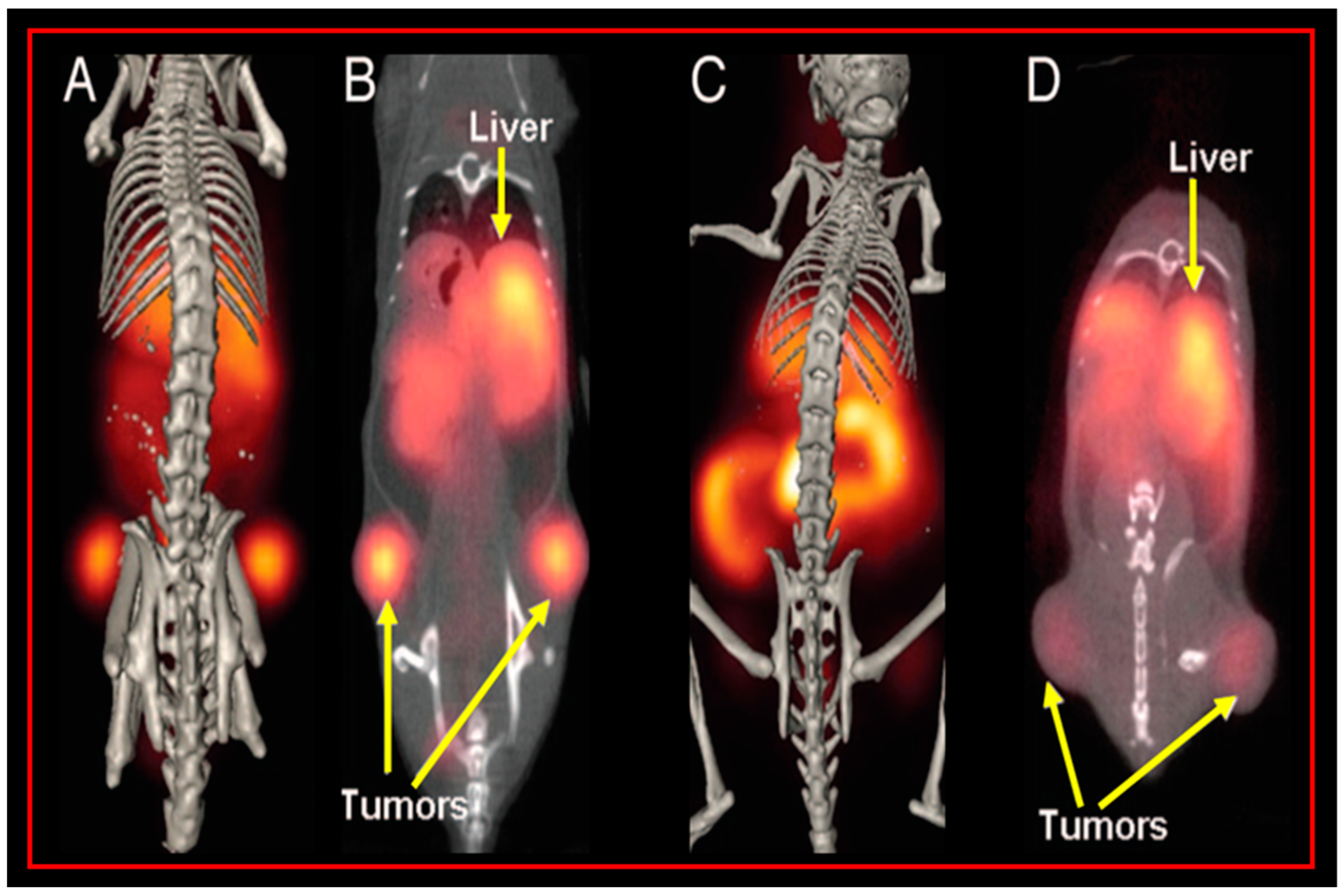 Molecules 30 02095 g003
