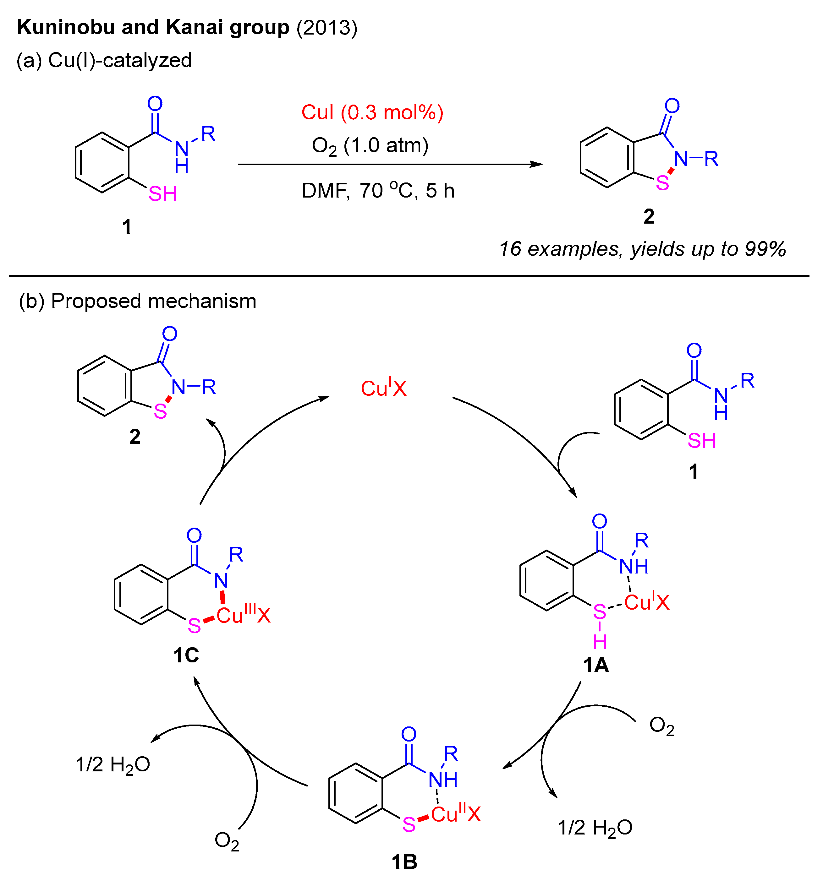 Molecules 30 02099 sch001 Molecules 30 02099 sch001