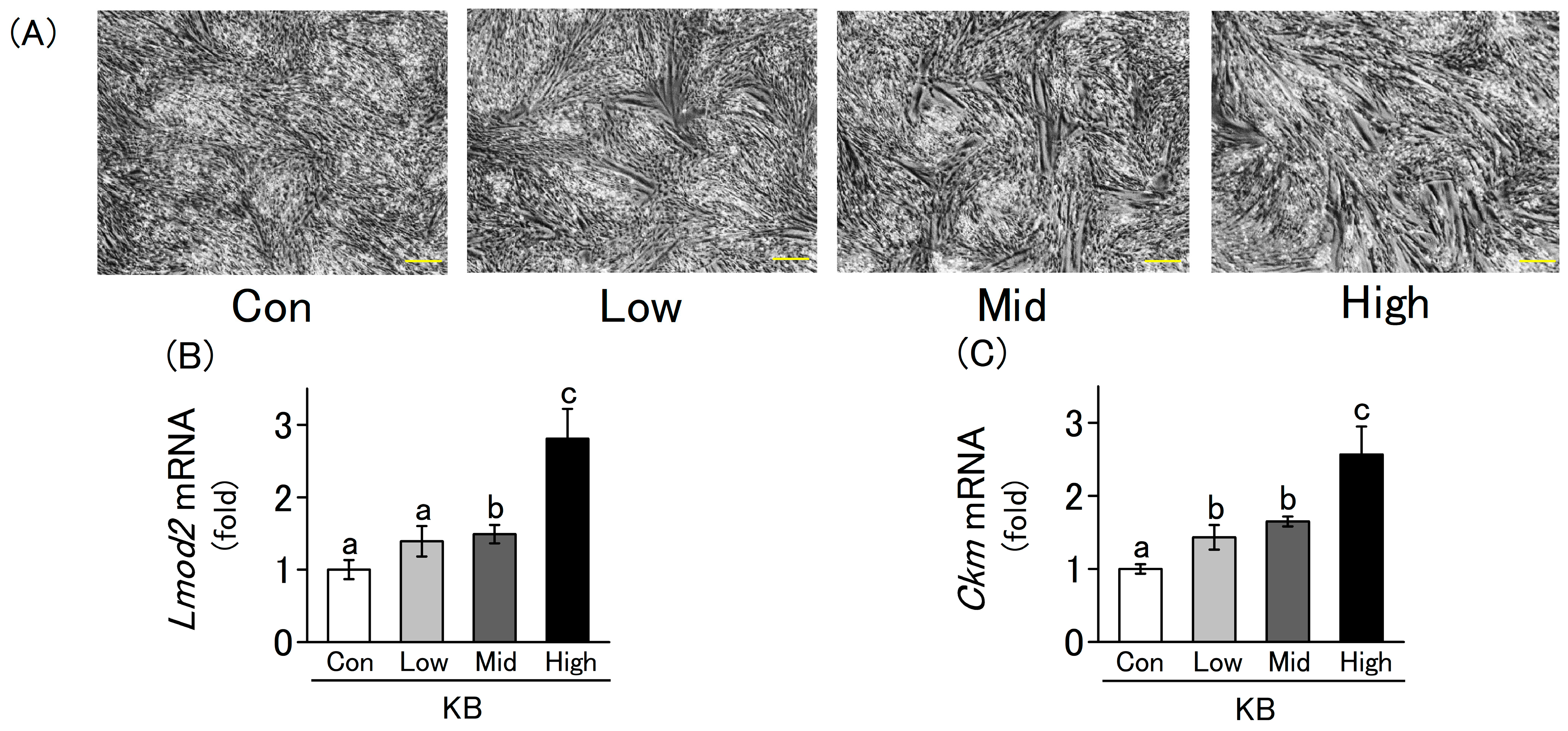 Molecules 30 02101 g002