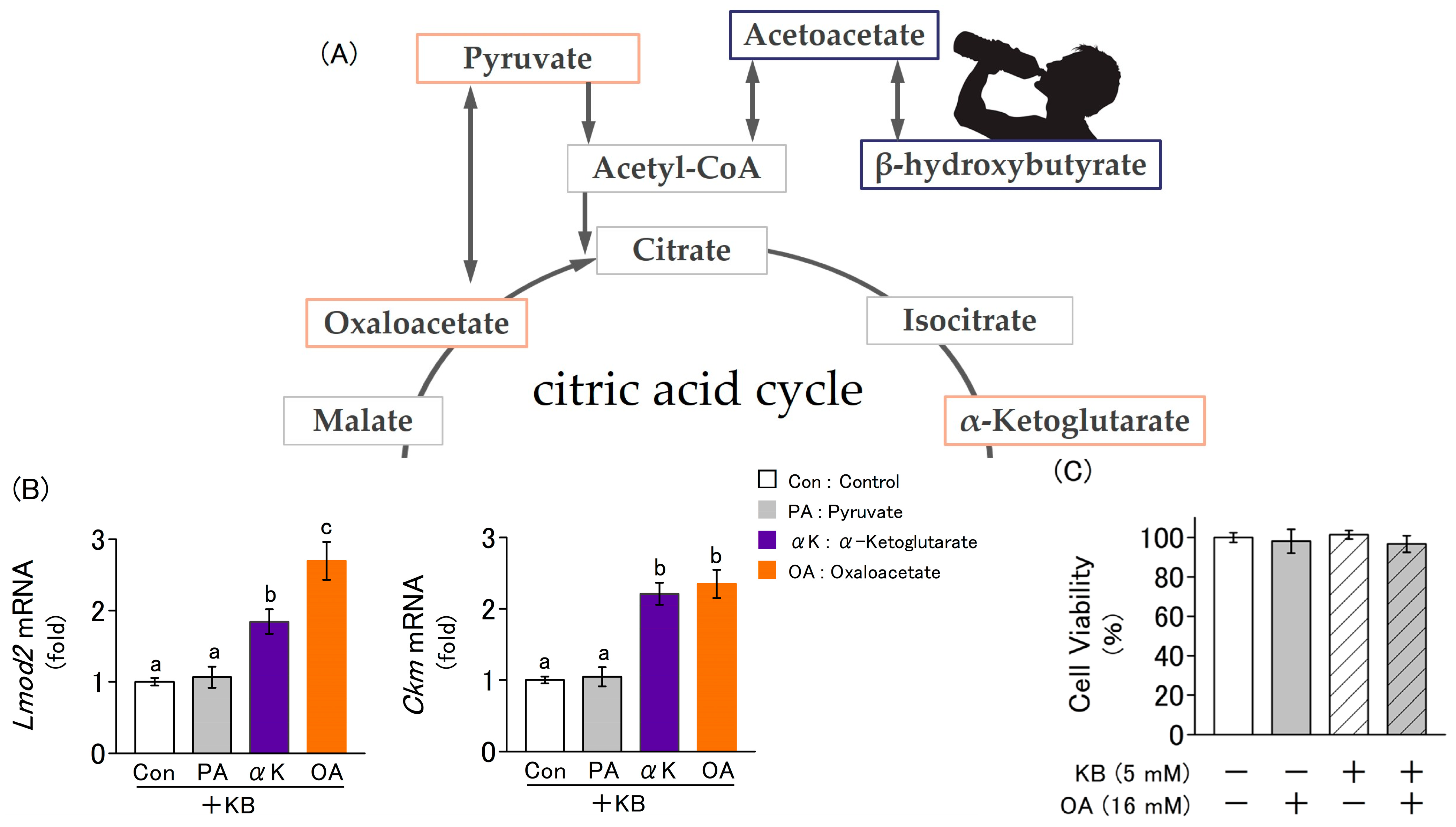 Molecules 30 02101 g003