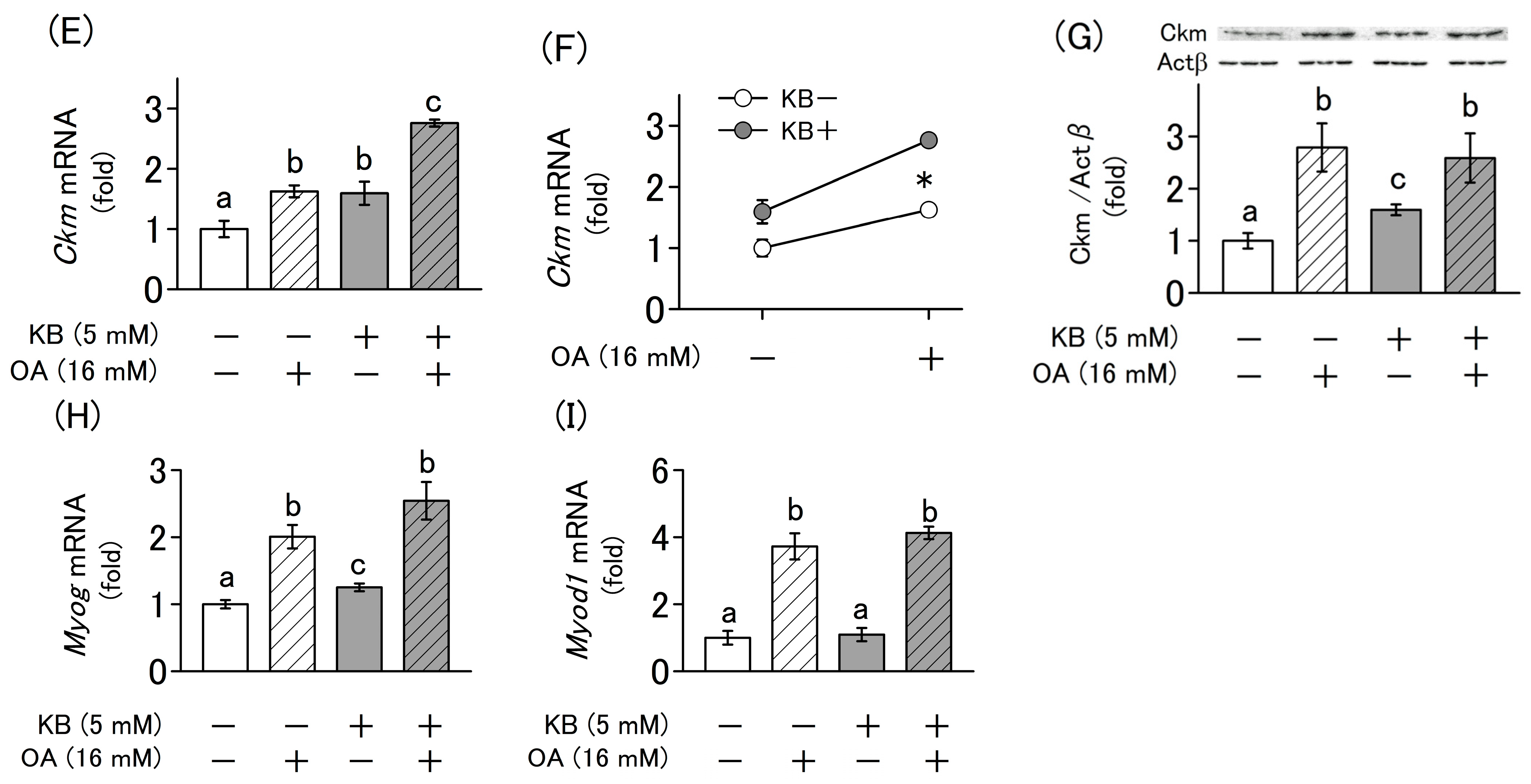 Molecules 30 02101 g004b