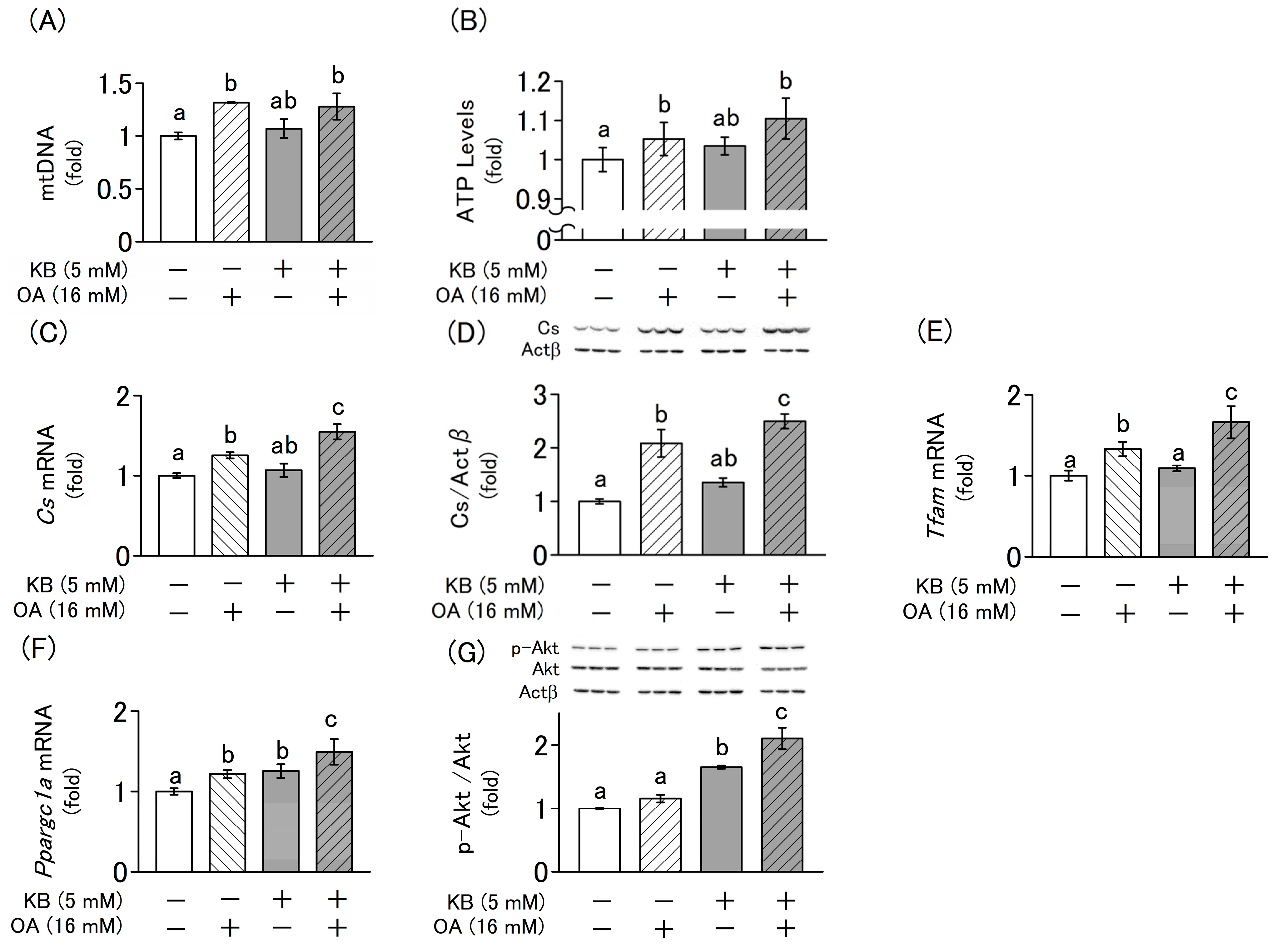 Molecules 30 02101 g005
