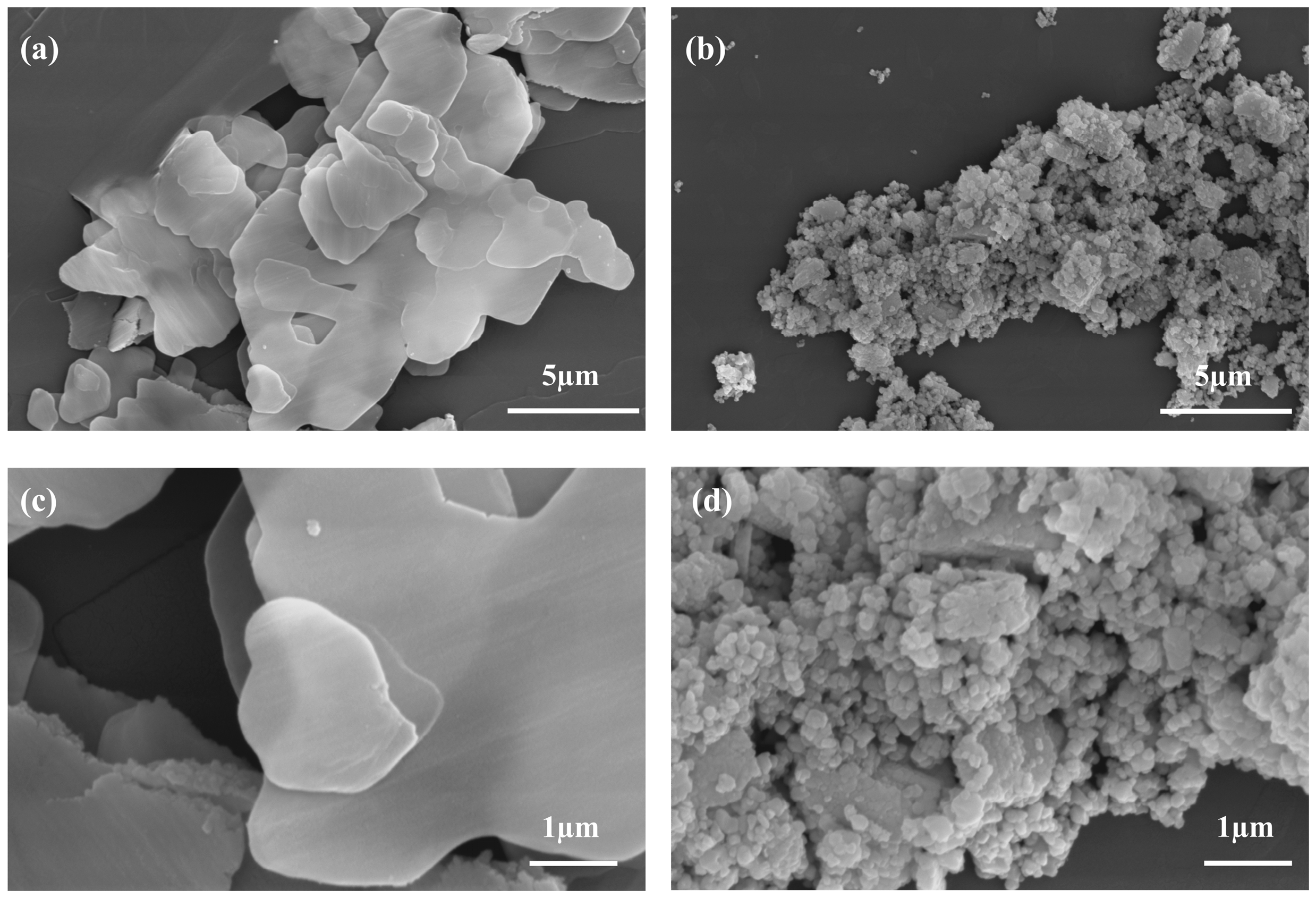 Molecules 30 02102 g001