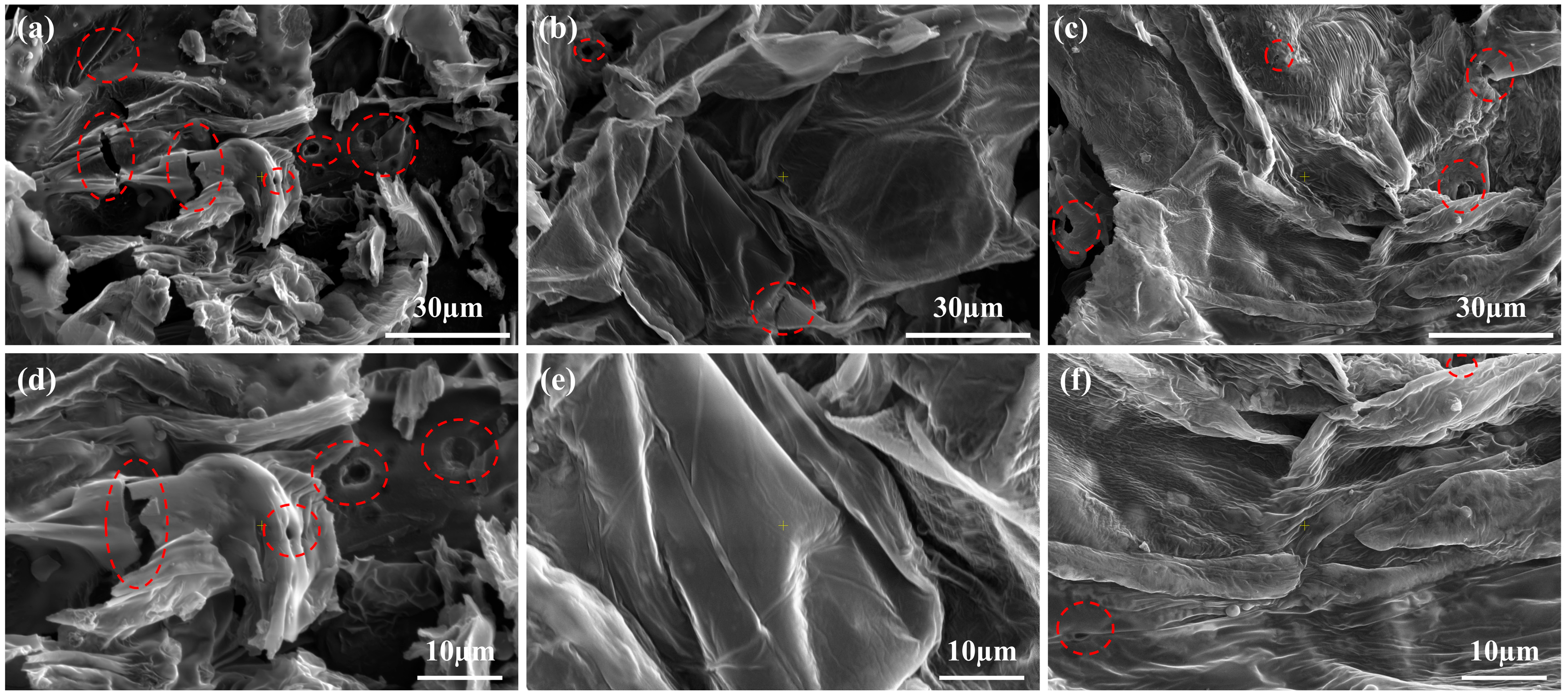 Molecules 30 02102 g006