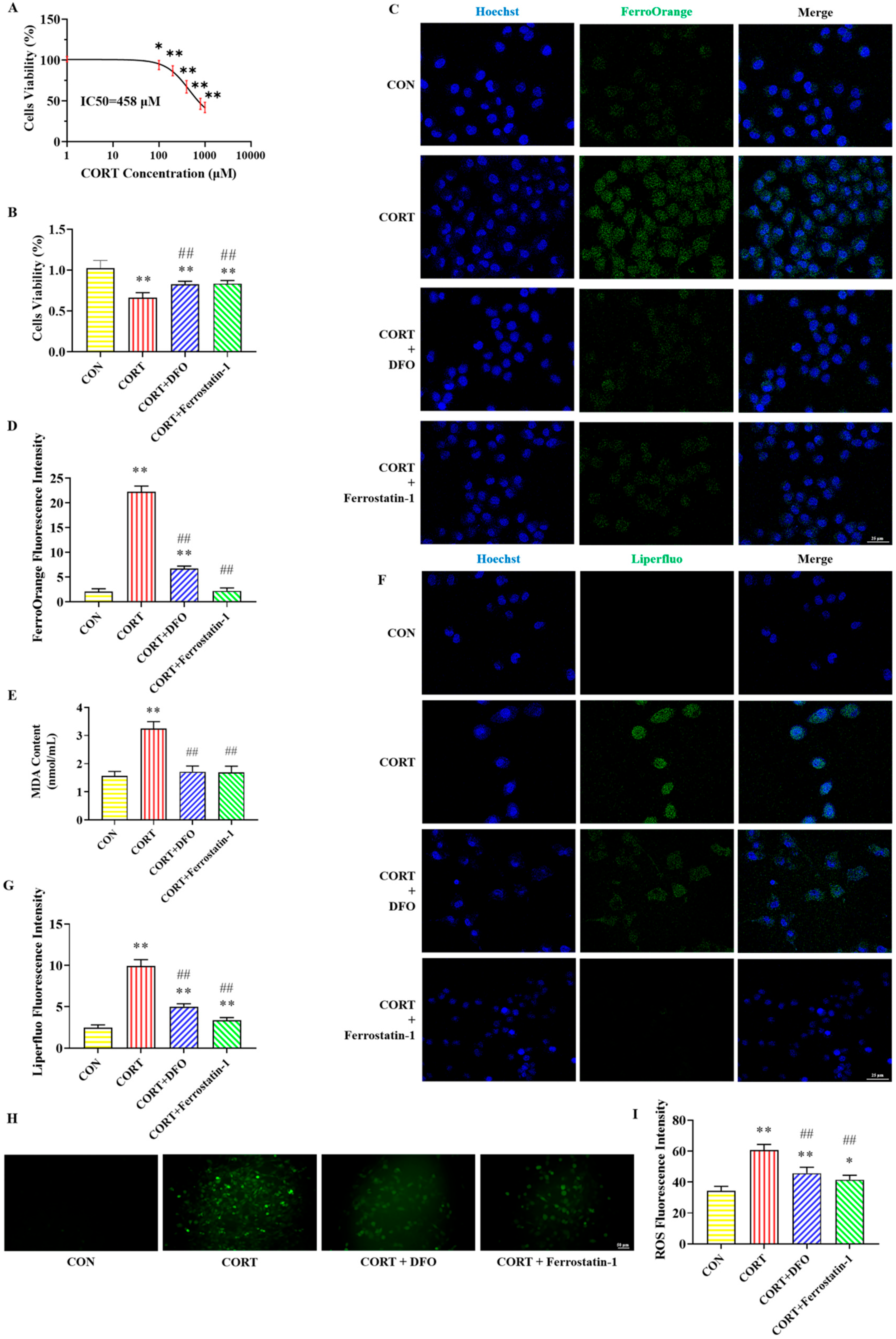 Molecules 30 02103 g001