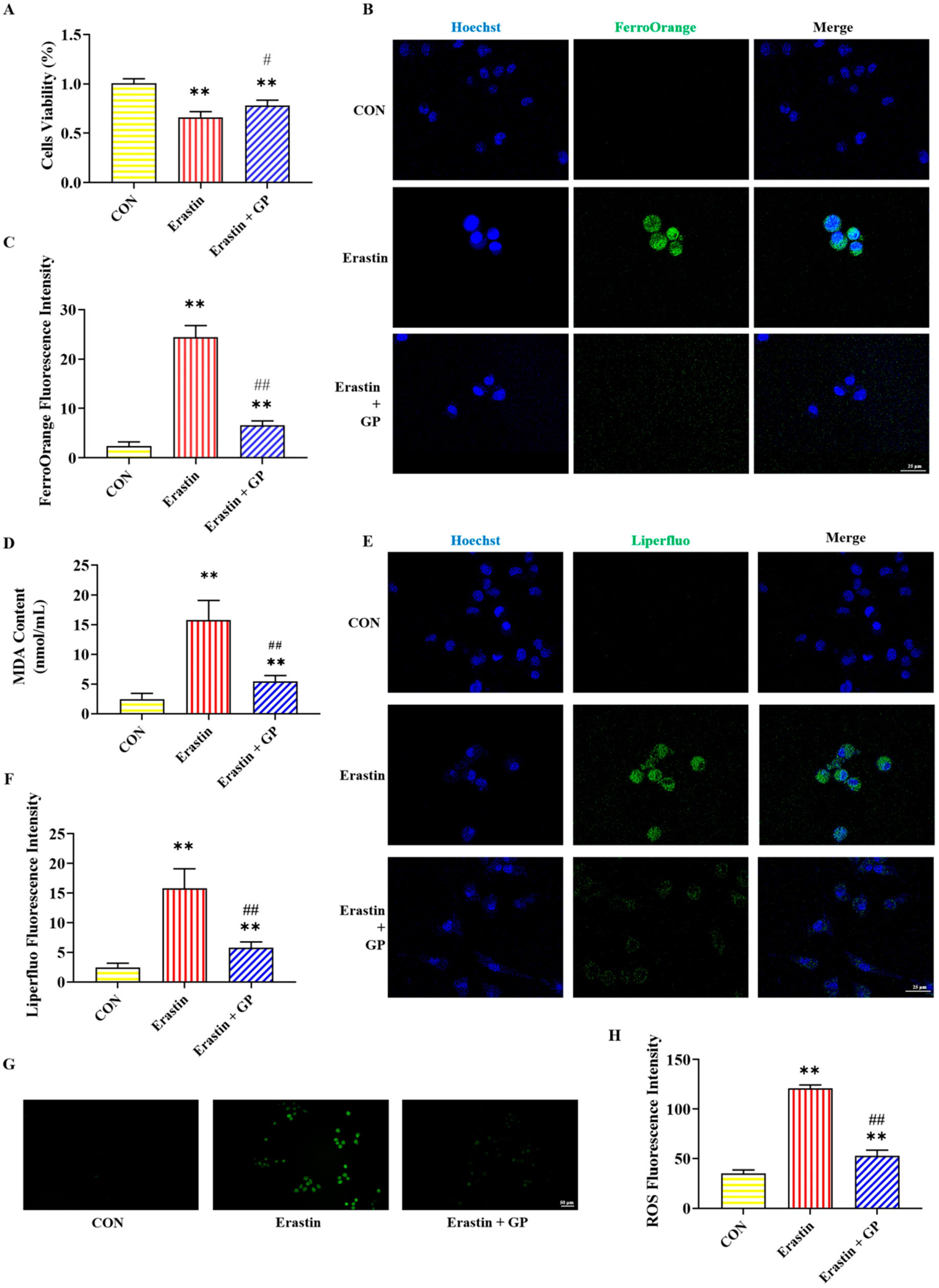 Molecules 30 02103 g002