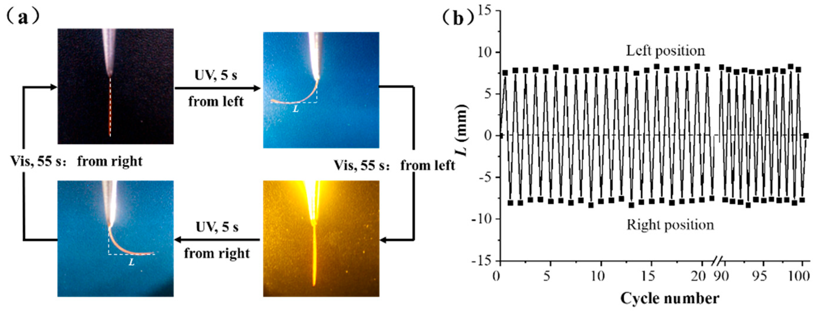 Molecules 30 02106 g005