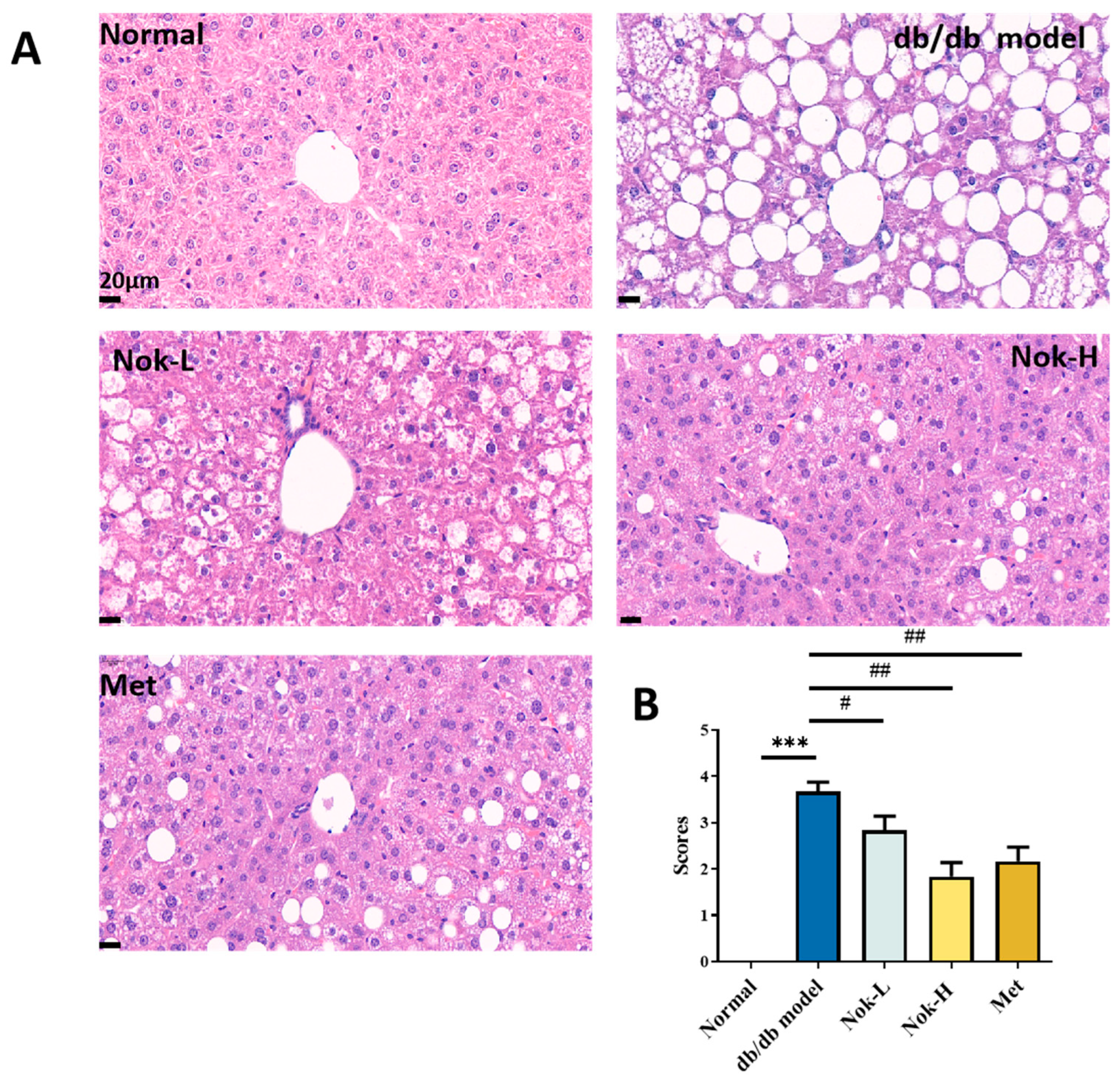 Molecules 30 02111 g005