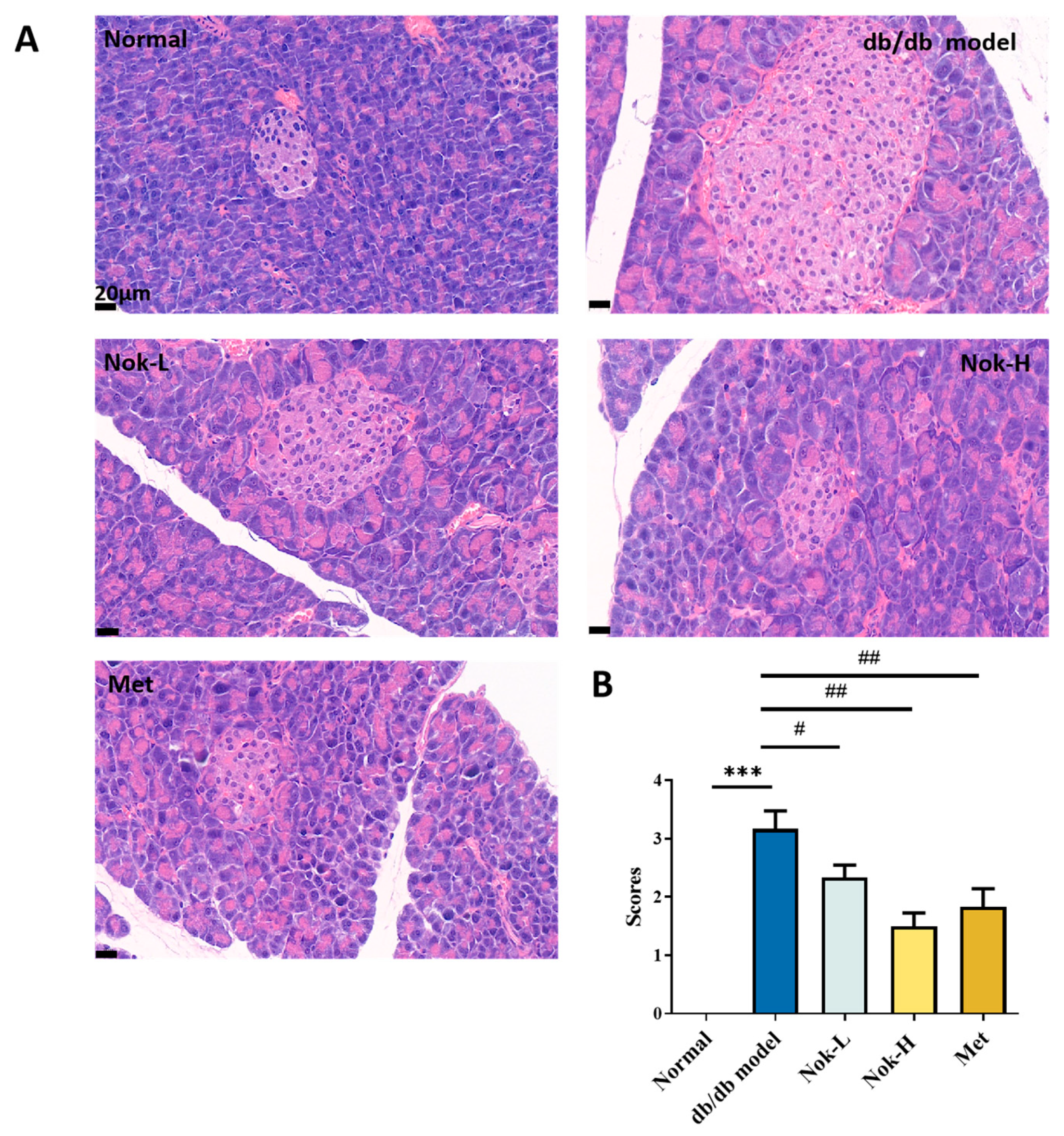 Molecules 30 02111 g006