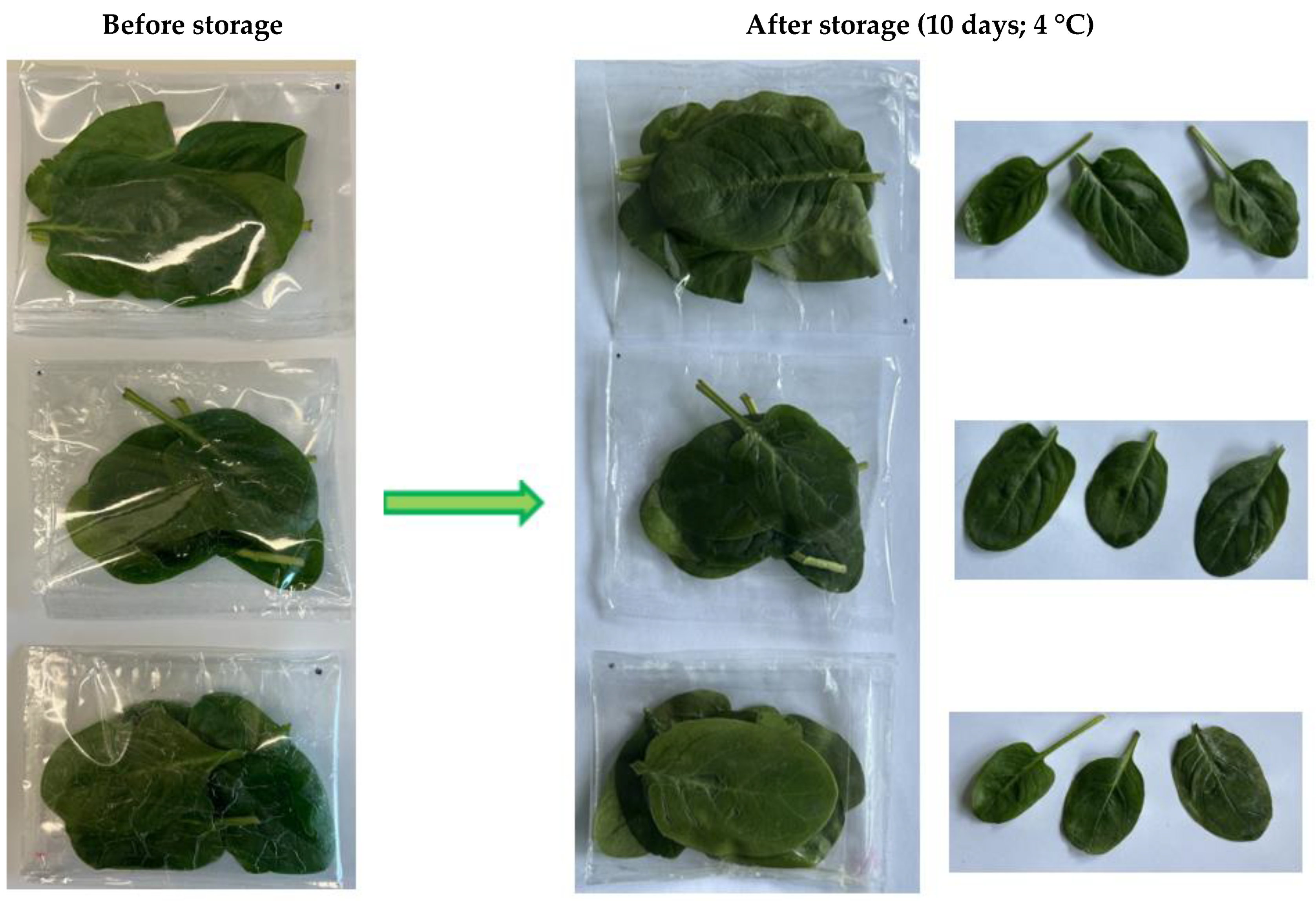 Molecules 30 02118 g004