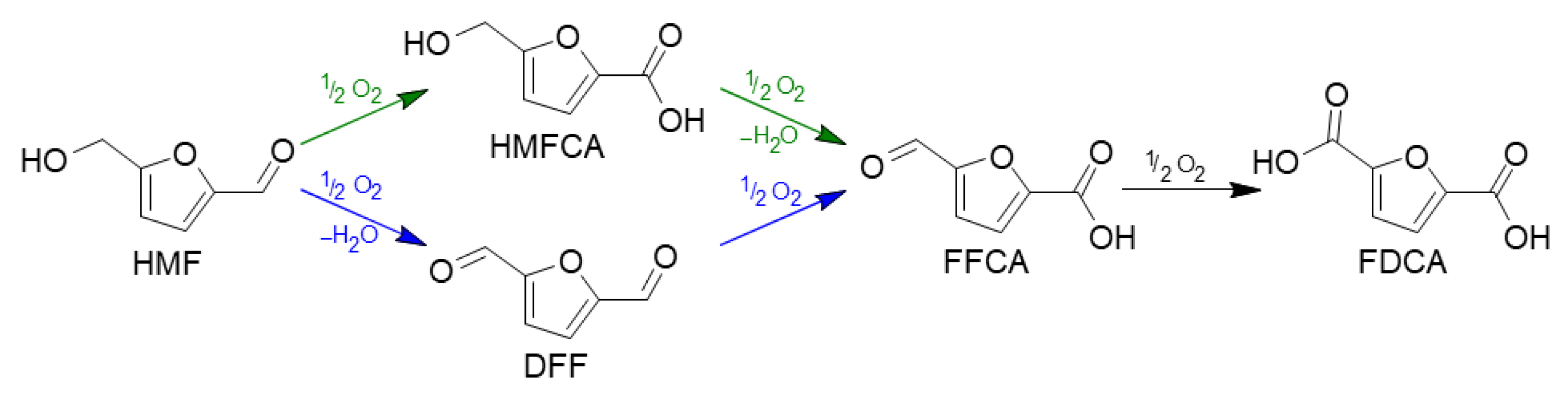 Molecules 30 02120 g007