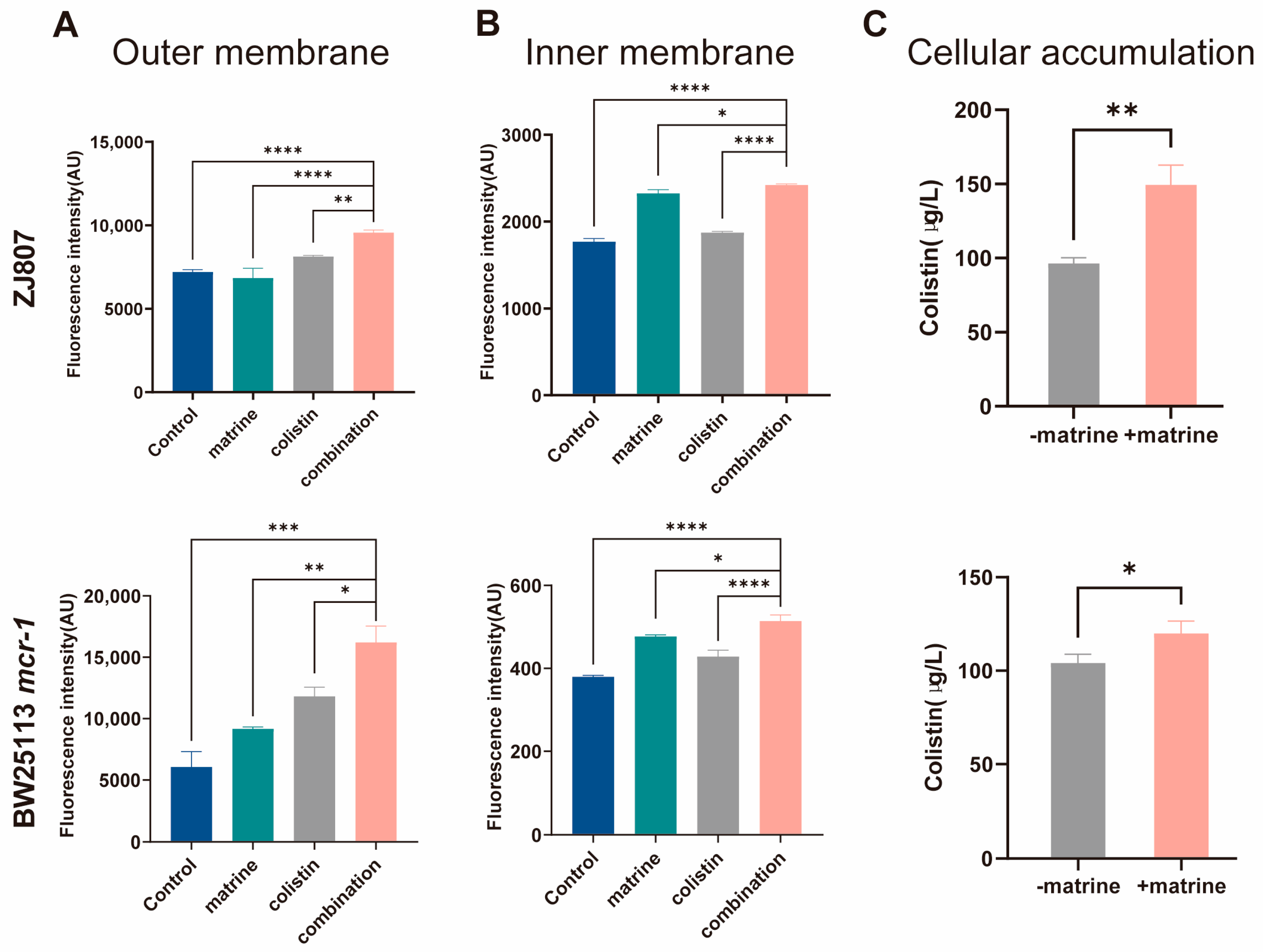 Molecules 30 02122 g003